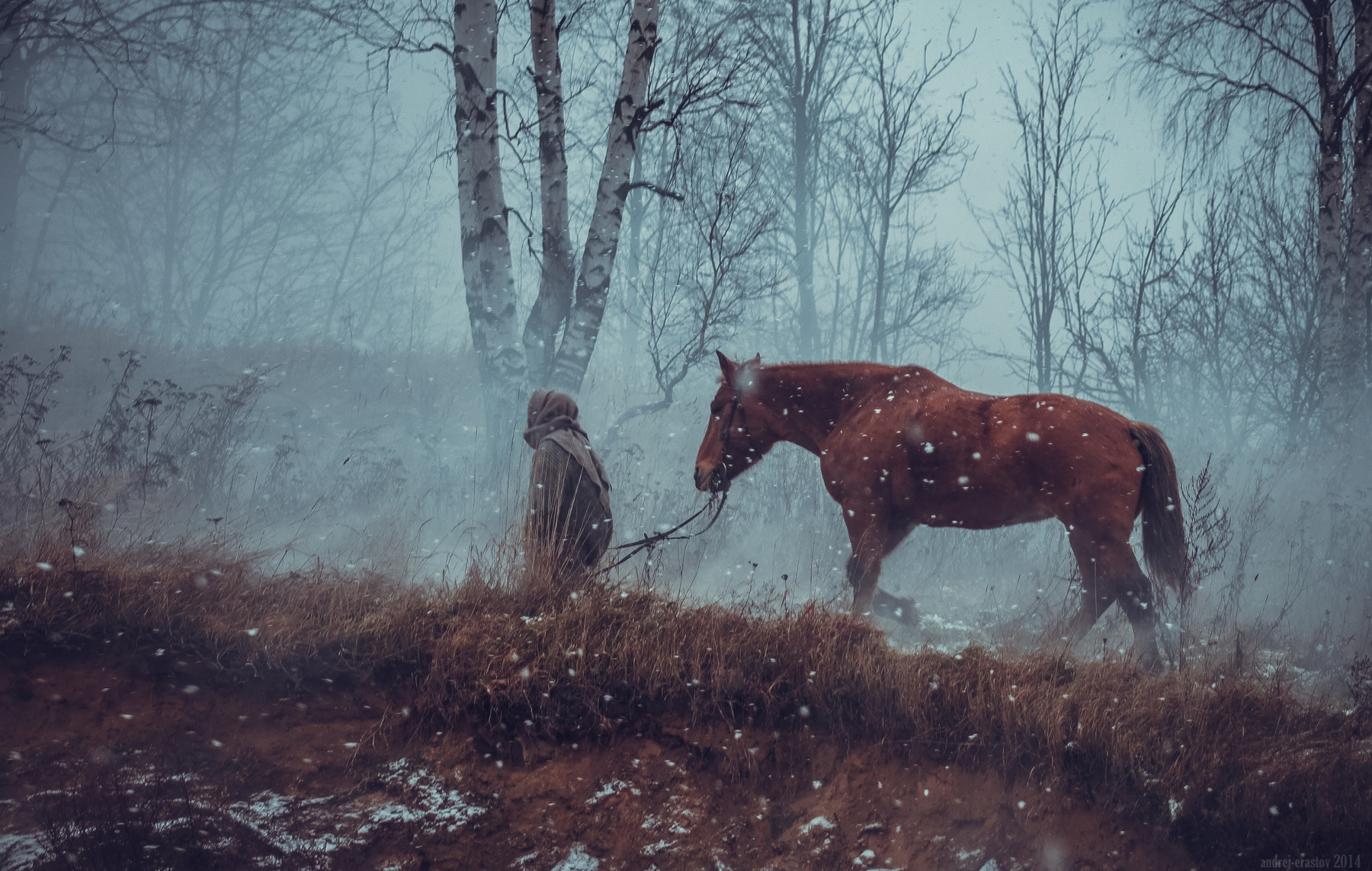 *** лошадь поле туман
