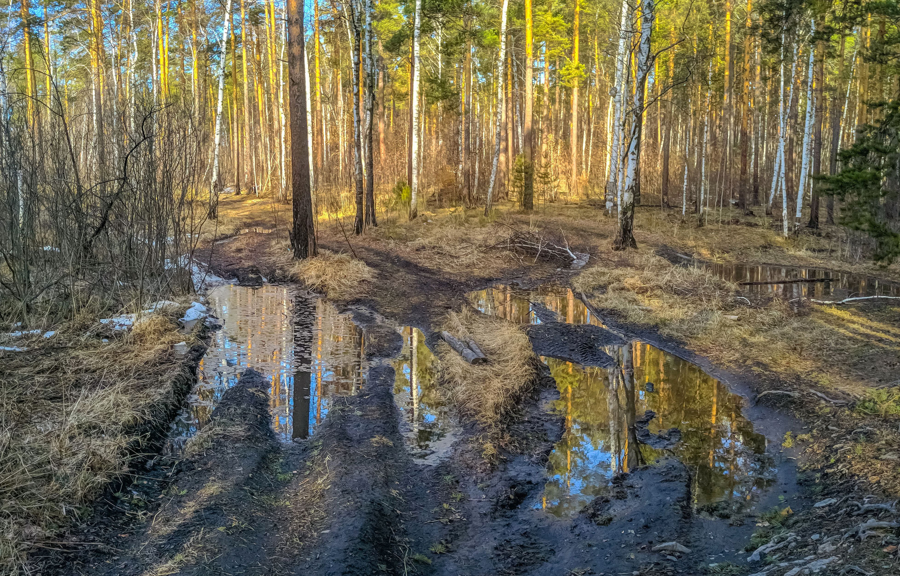 Весенний лес. (панорама) Южный Урал Миасс Тургояк природа лес весна Апрель