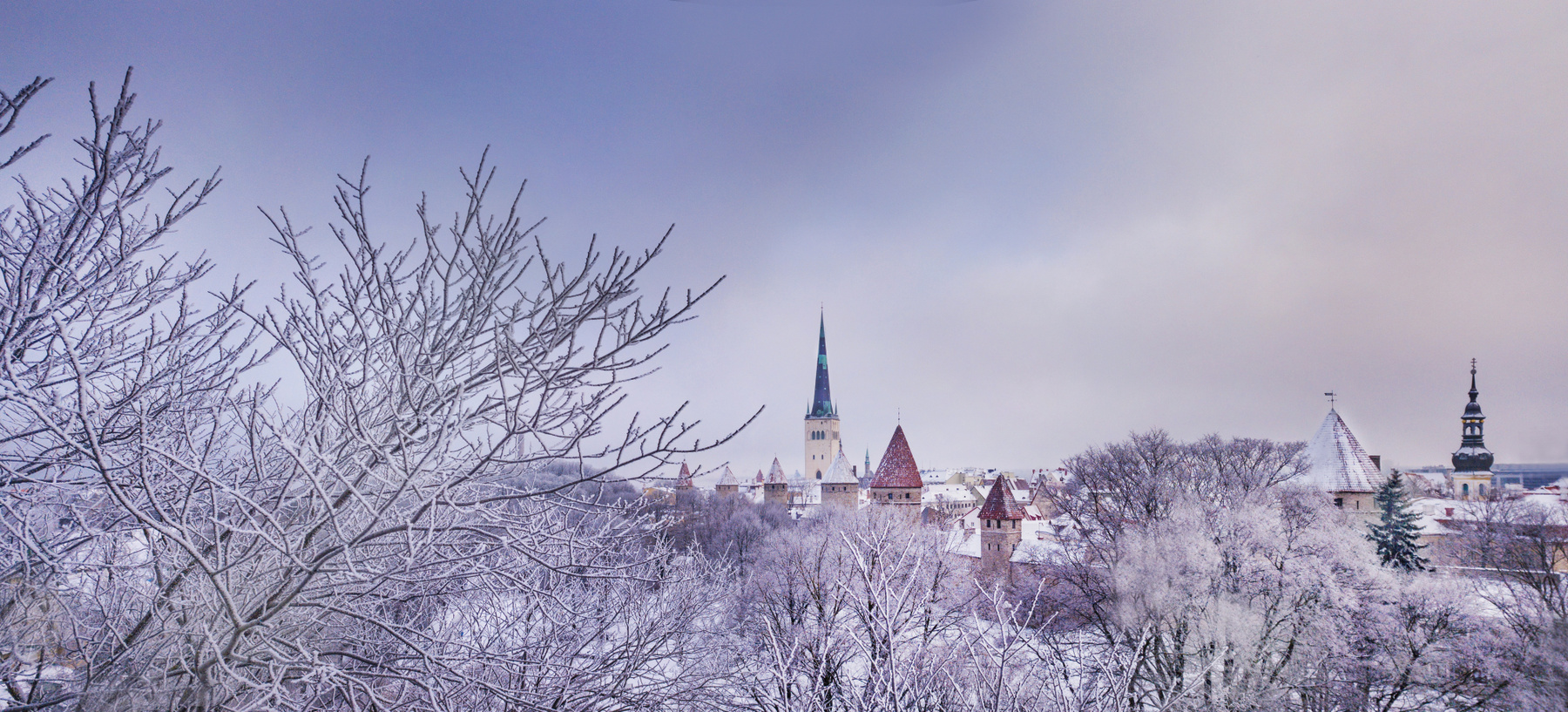 Зимняя сказка в Таллинне. 