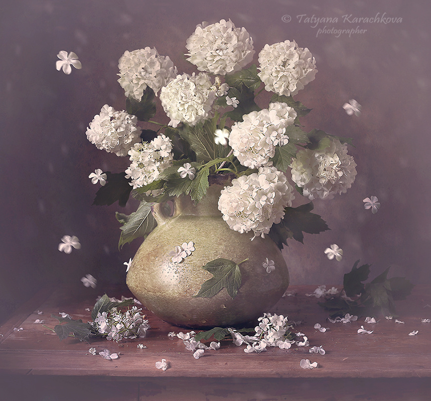 Белоснежная весна натюрморт цветы букет бульденеж ваза