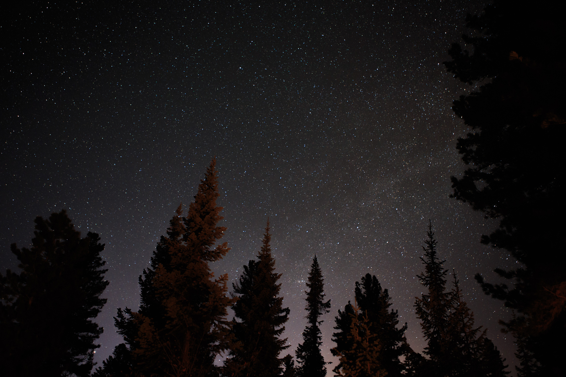 Звездный магнетизм. Ночь звезды тайга лес небо астрономия костер туризм