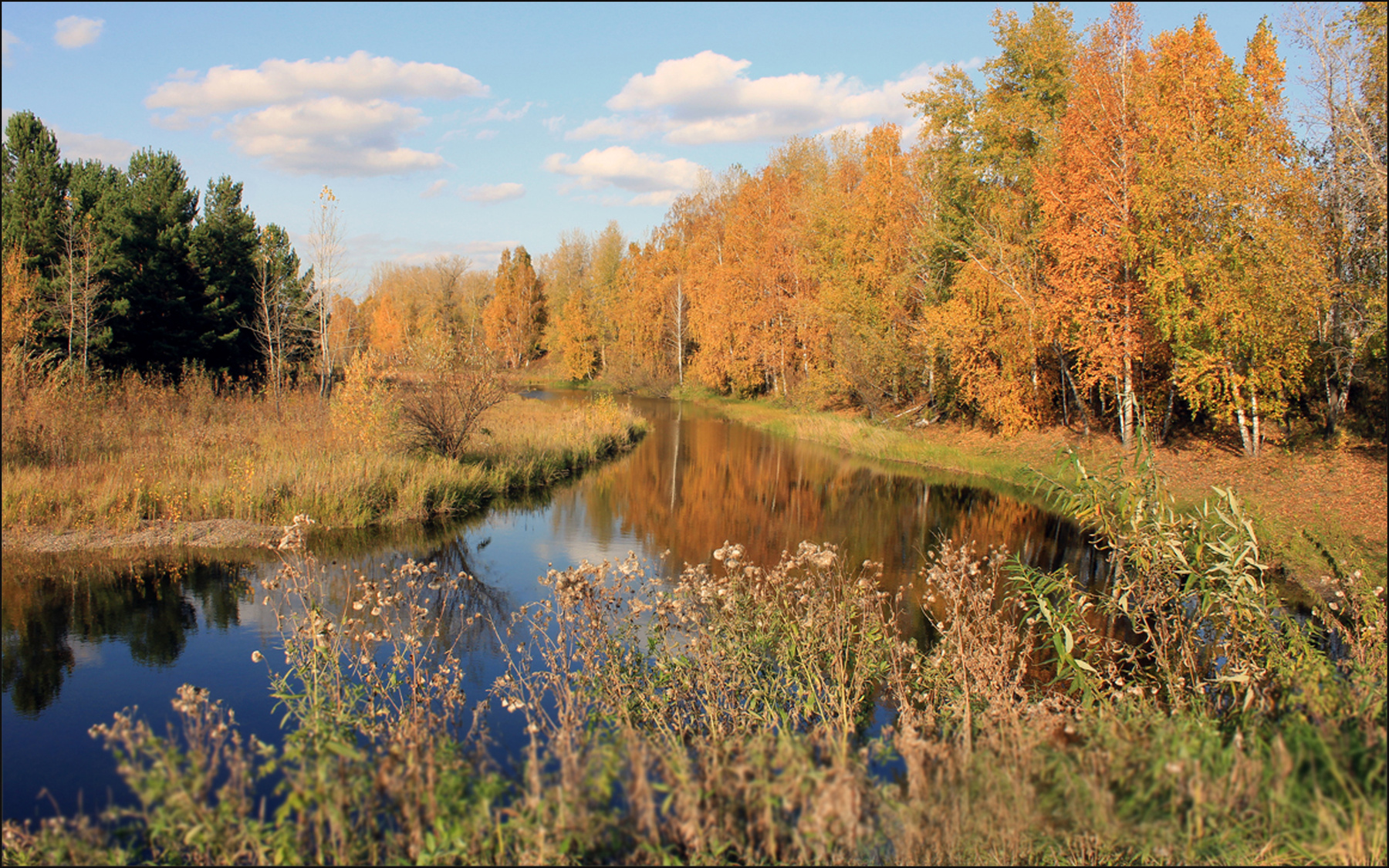 Ручей Осень отражение золото листвы ручей