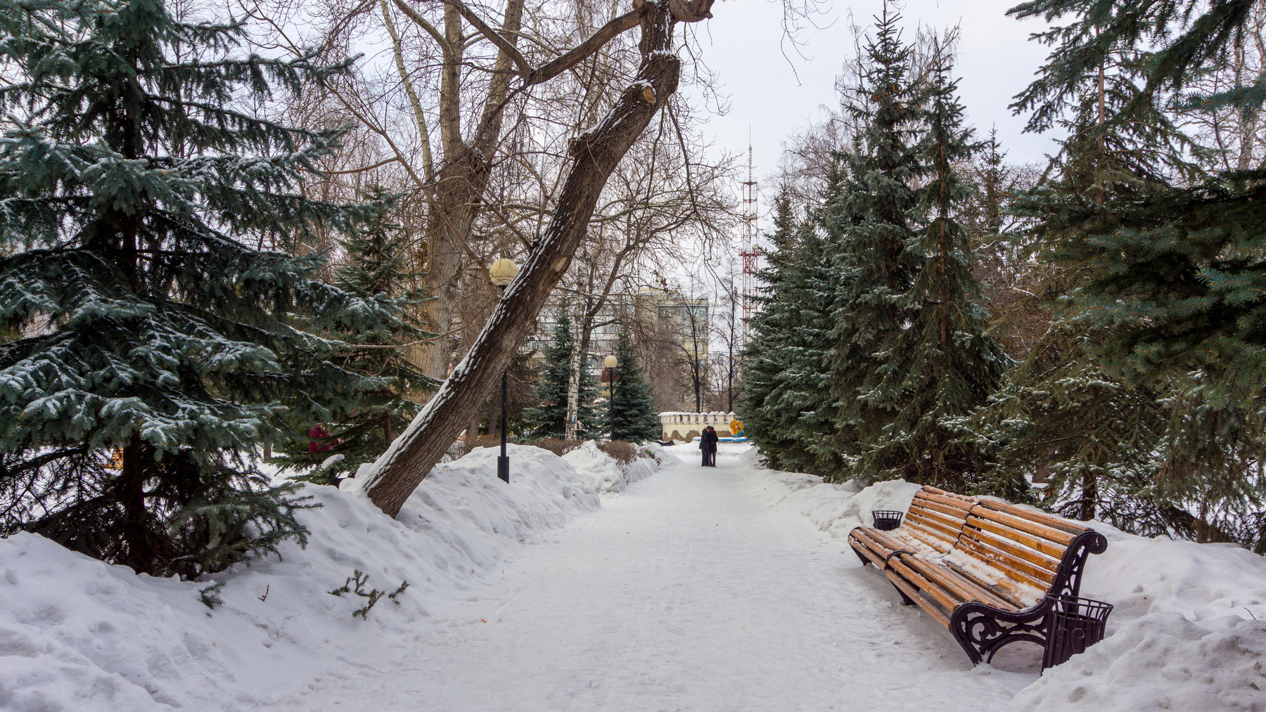 *** город парк зима пейзаж челябинск