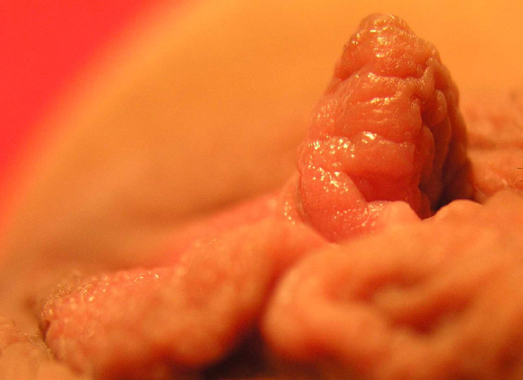 Макро снимок девственной вагины