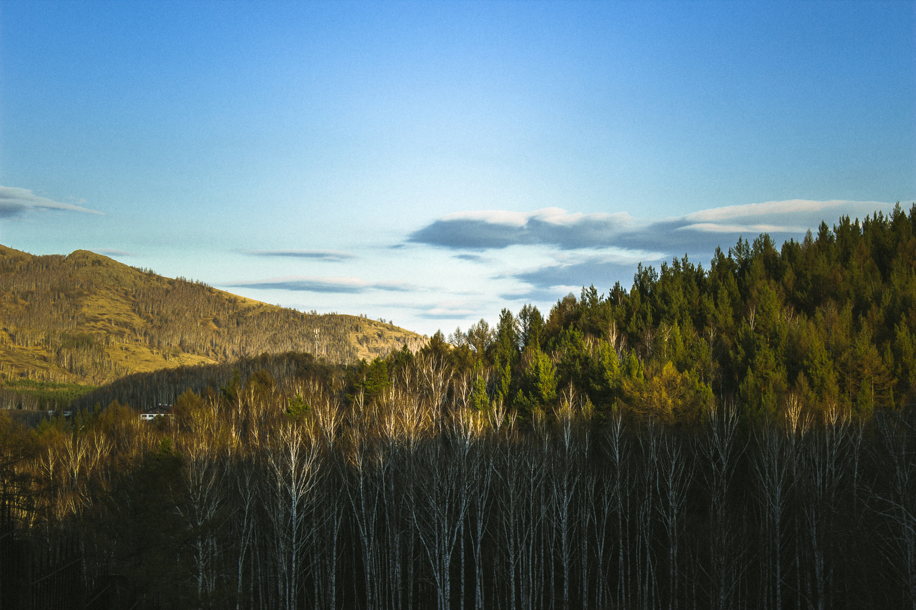 Горы в Абзаково горы абзаково башкирия россия лес деревья небо пейзаж природа mountains russia tree forest nature sky