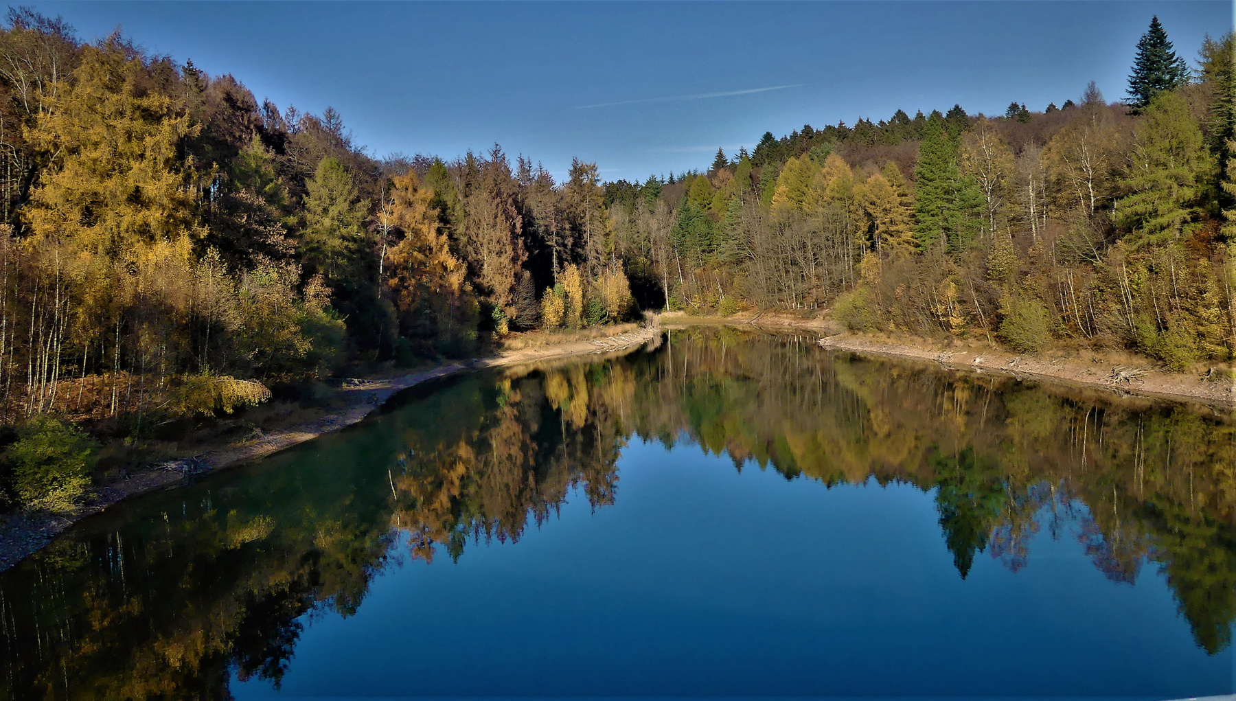 Гармония природы природа лес озеро