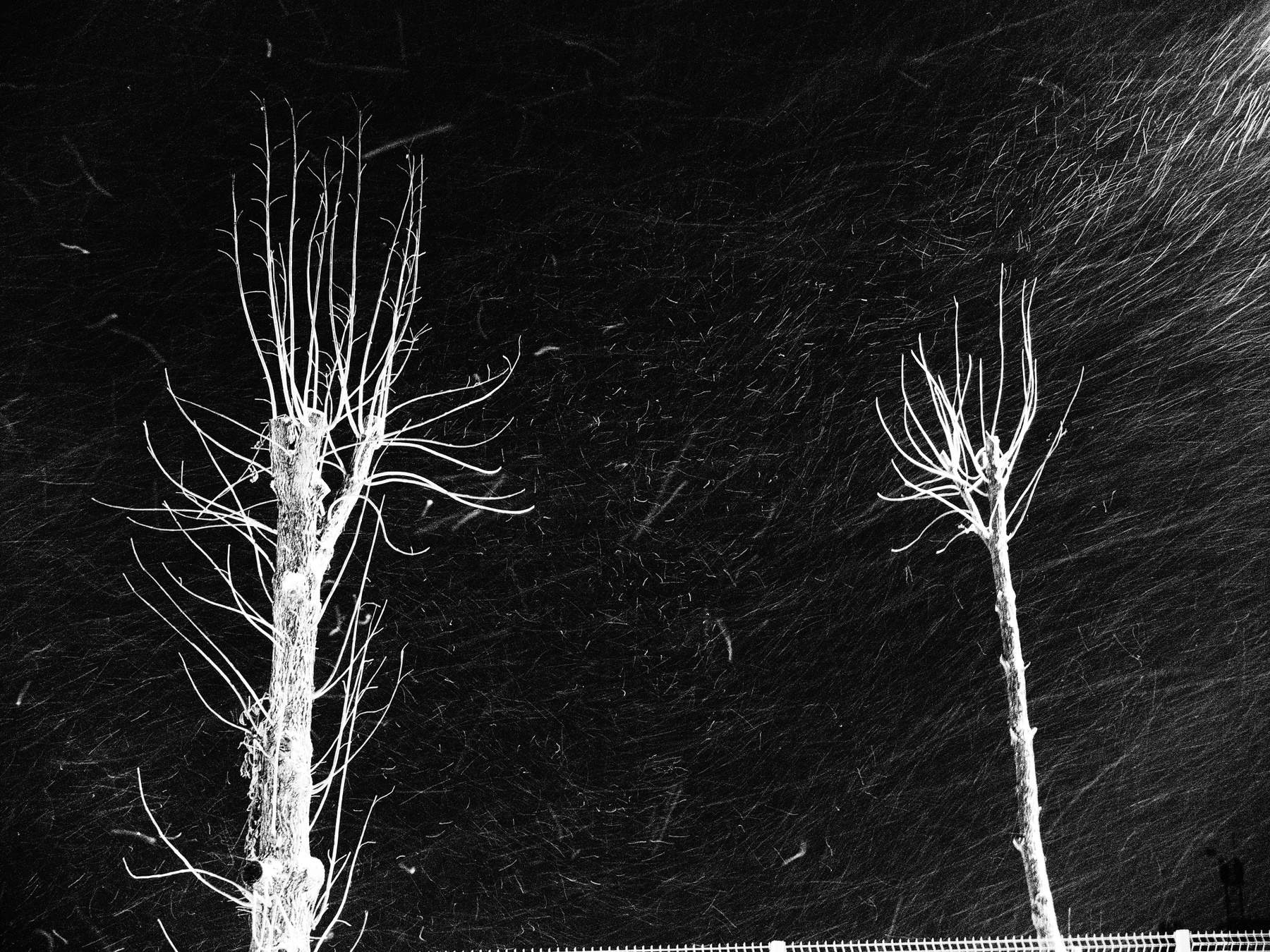 Winterabend ночь ветер снег метель свет Шварц