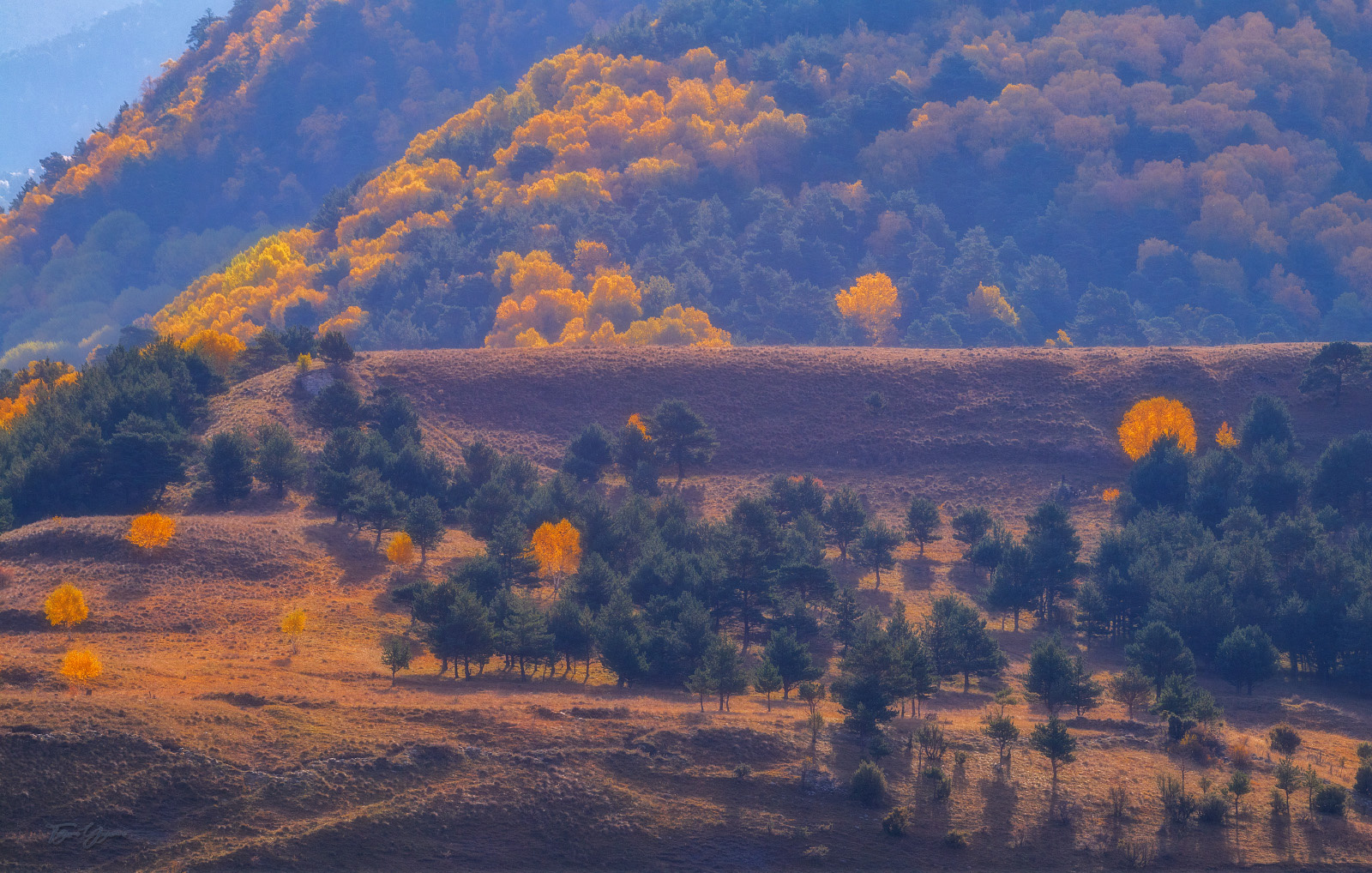 Осень в горах Горы лес осень Кавказ золото тени свет