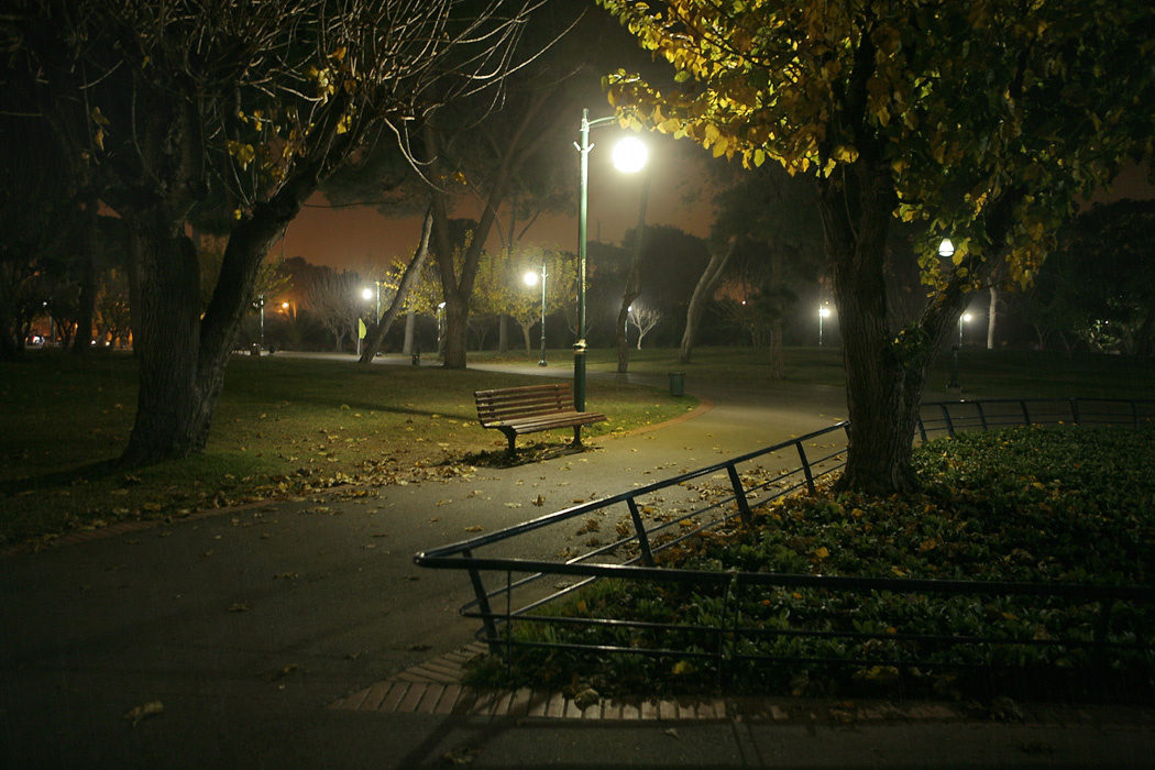 Вечерний городской парк