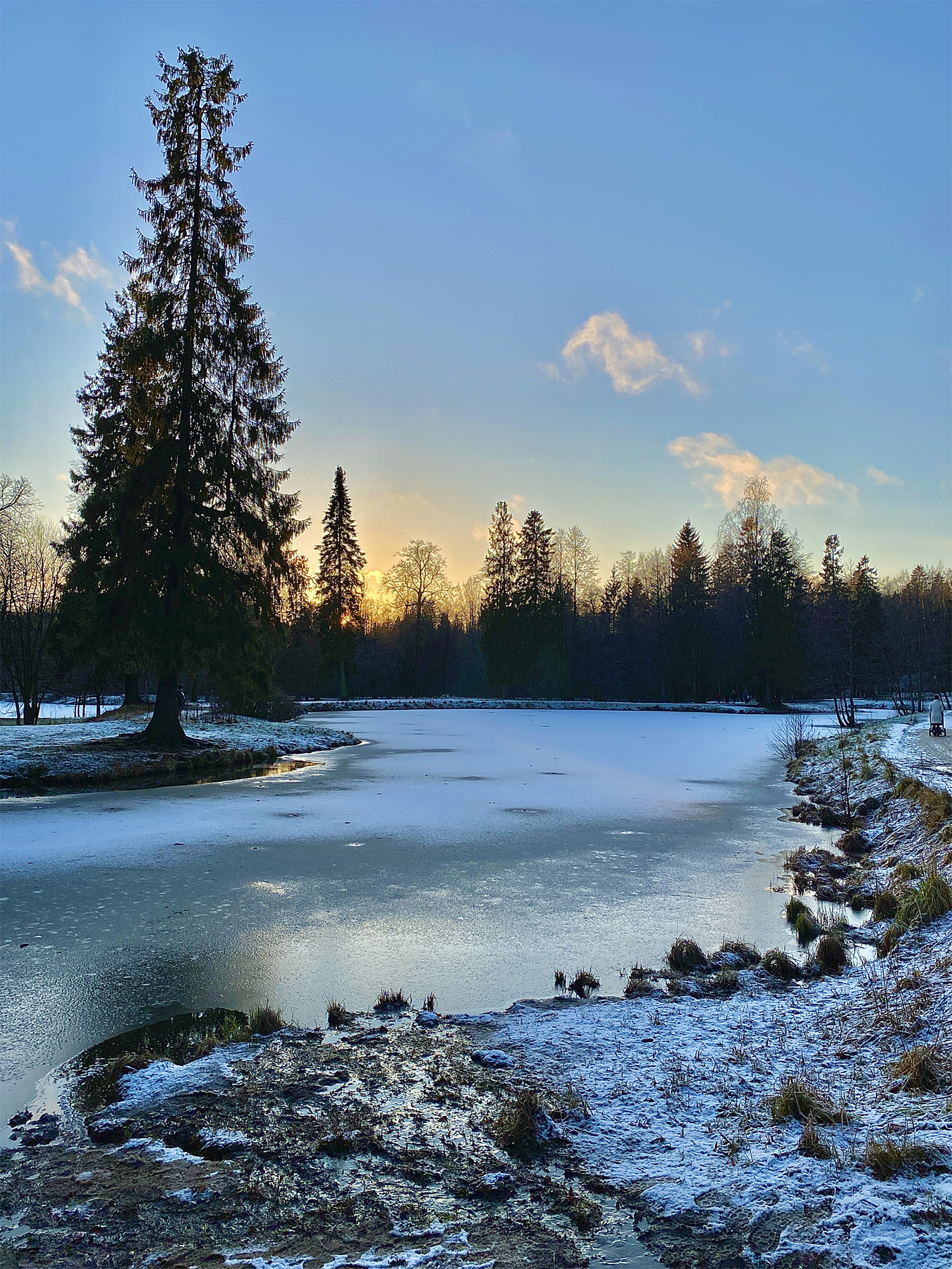 Шуваловский парк 2020 парк елка зима снег