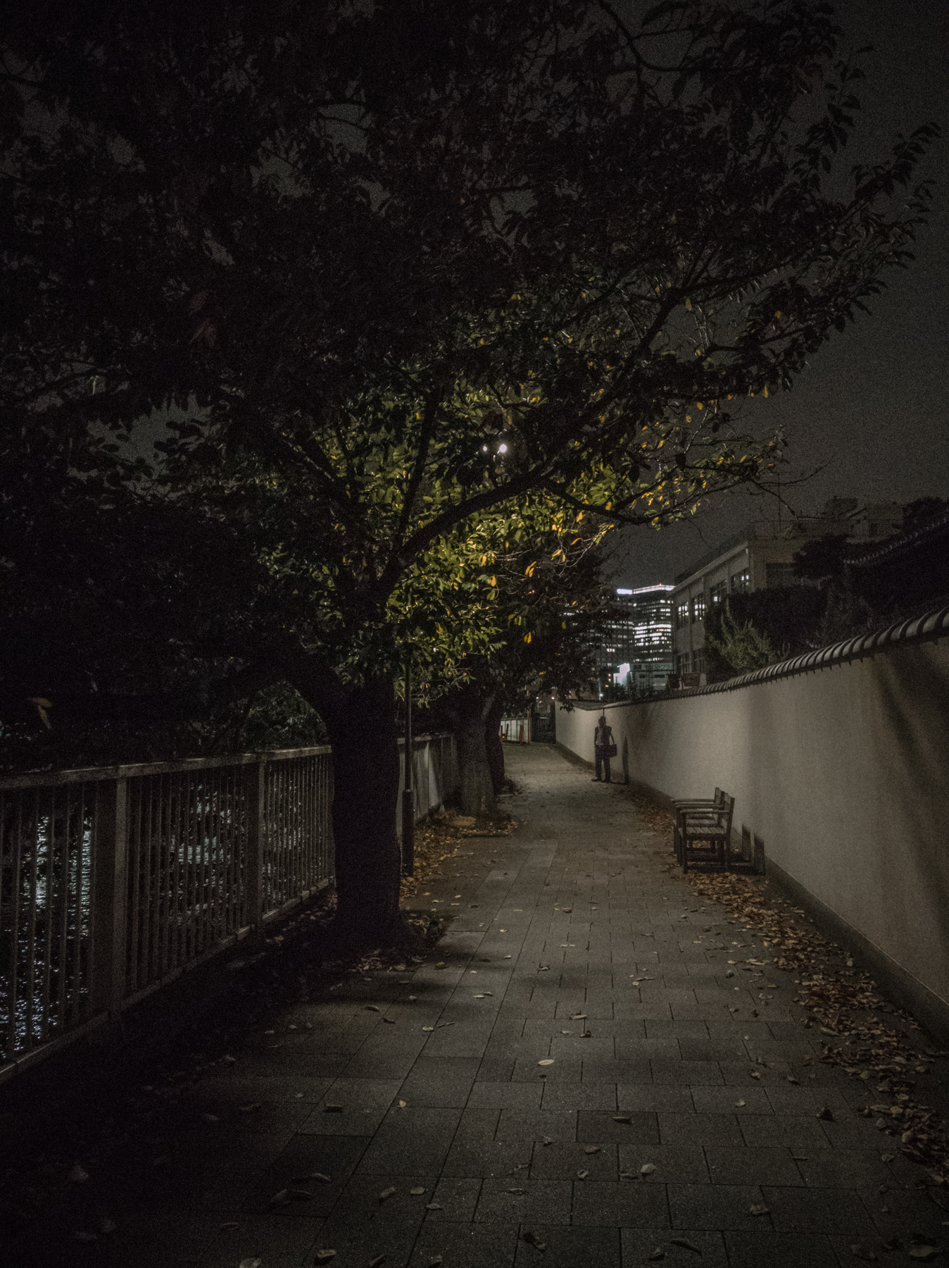 Звуки вечера вечер стрит улица япония токио