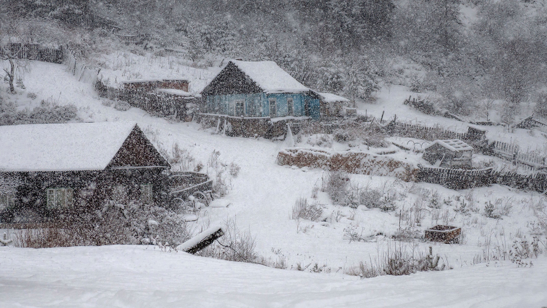 Сильный снегопад на кордоне. Красноярск зима кордон