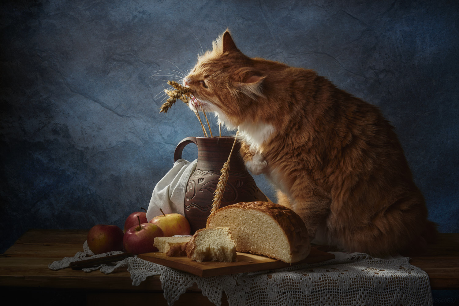 Вкусные колоски натюрморт композиция постановка сцена колоски хлеб кот питомец друг рыжий