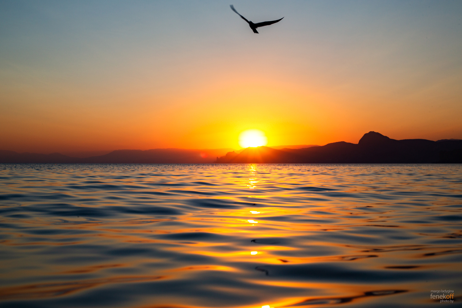 Закат на Чёрном море закат черное море крым чайка мыс алчак солнце путешествие природа sunset crimea sea black cape alchak