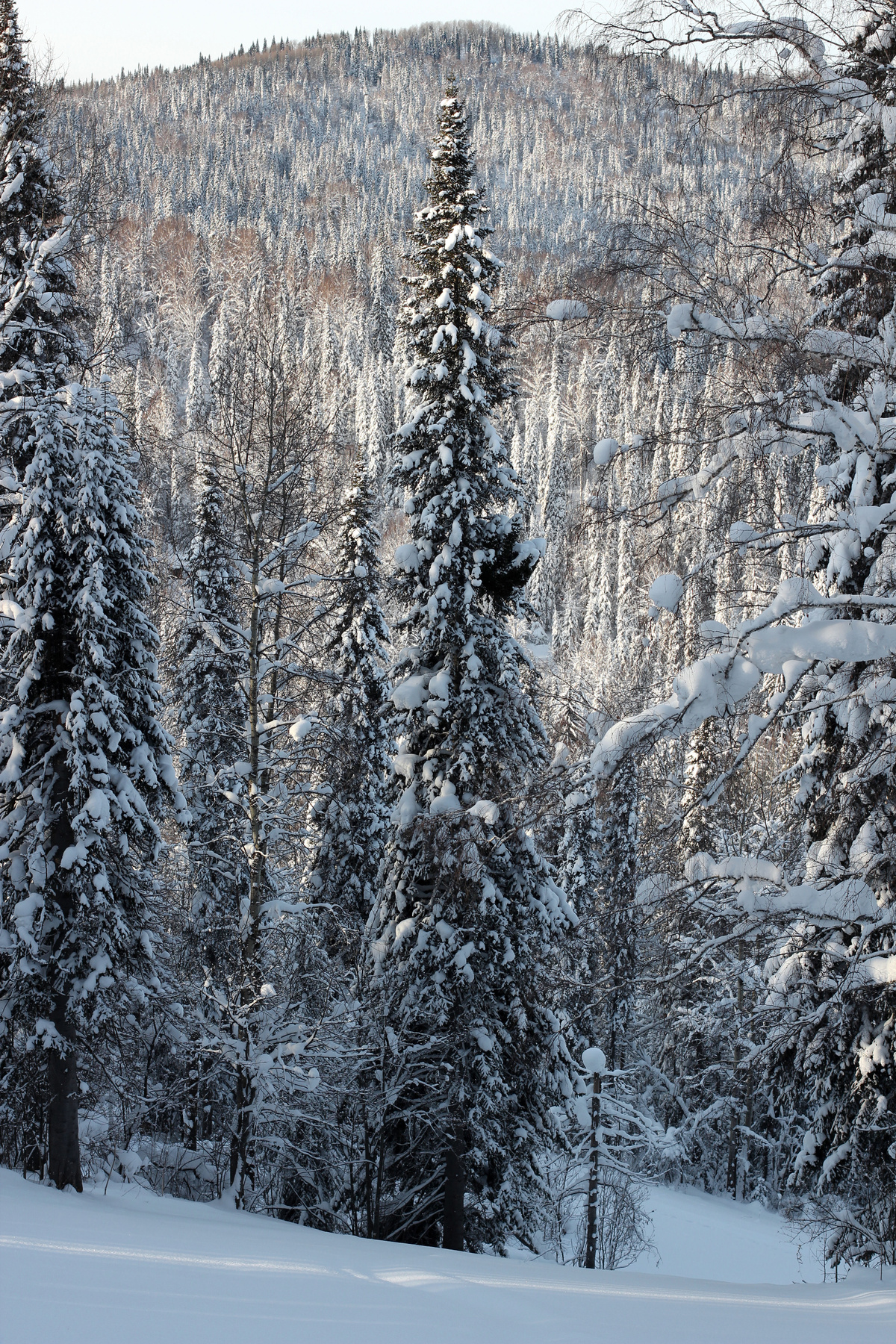 Зима Путешествия пейзаж природа
