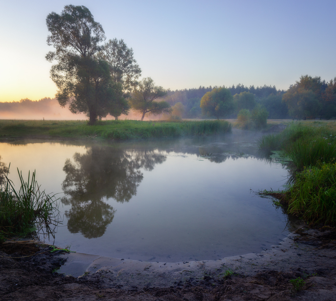Утро на реке Волчья пейзаж природа туман река волчья