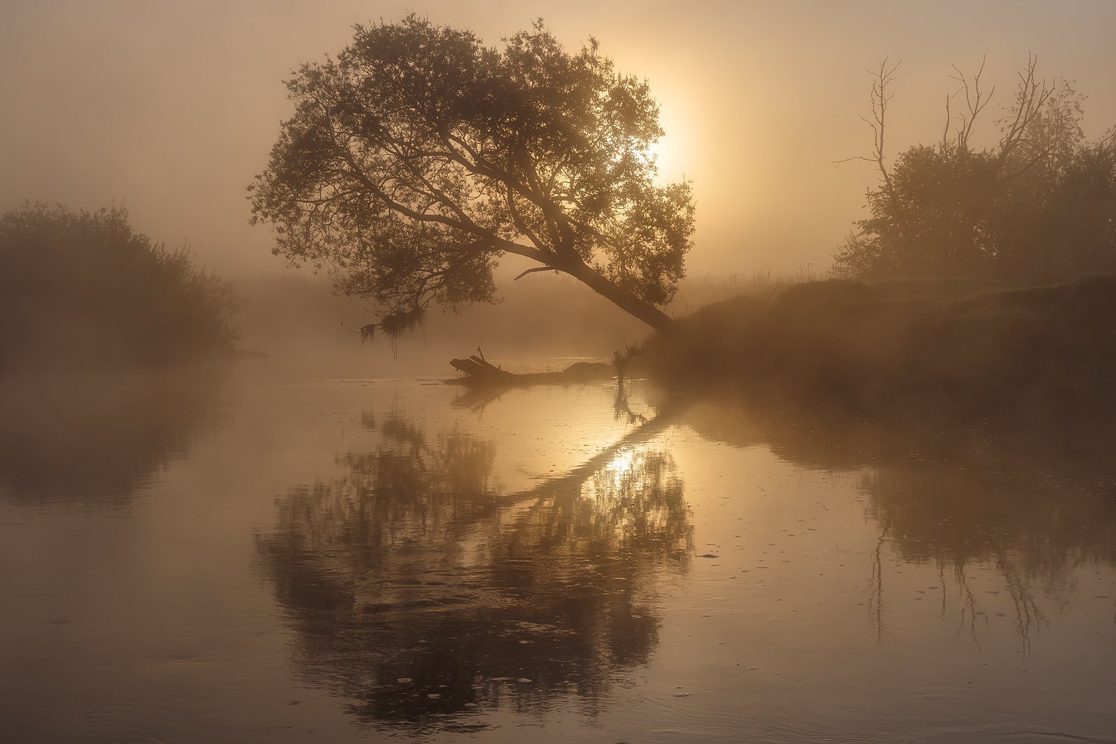 Магия туманного утра. вырица россия пейзаж природа рассвет солнце река