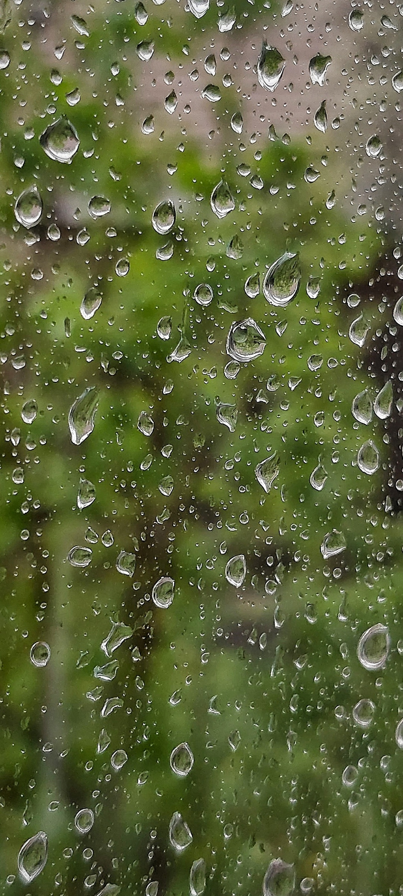 Весенний дождь Дождь капли на стекле весна май