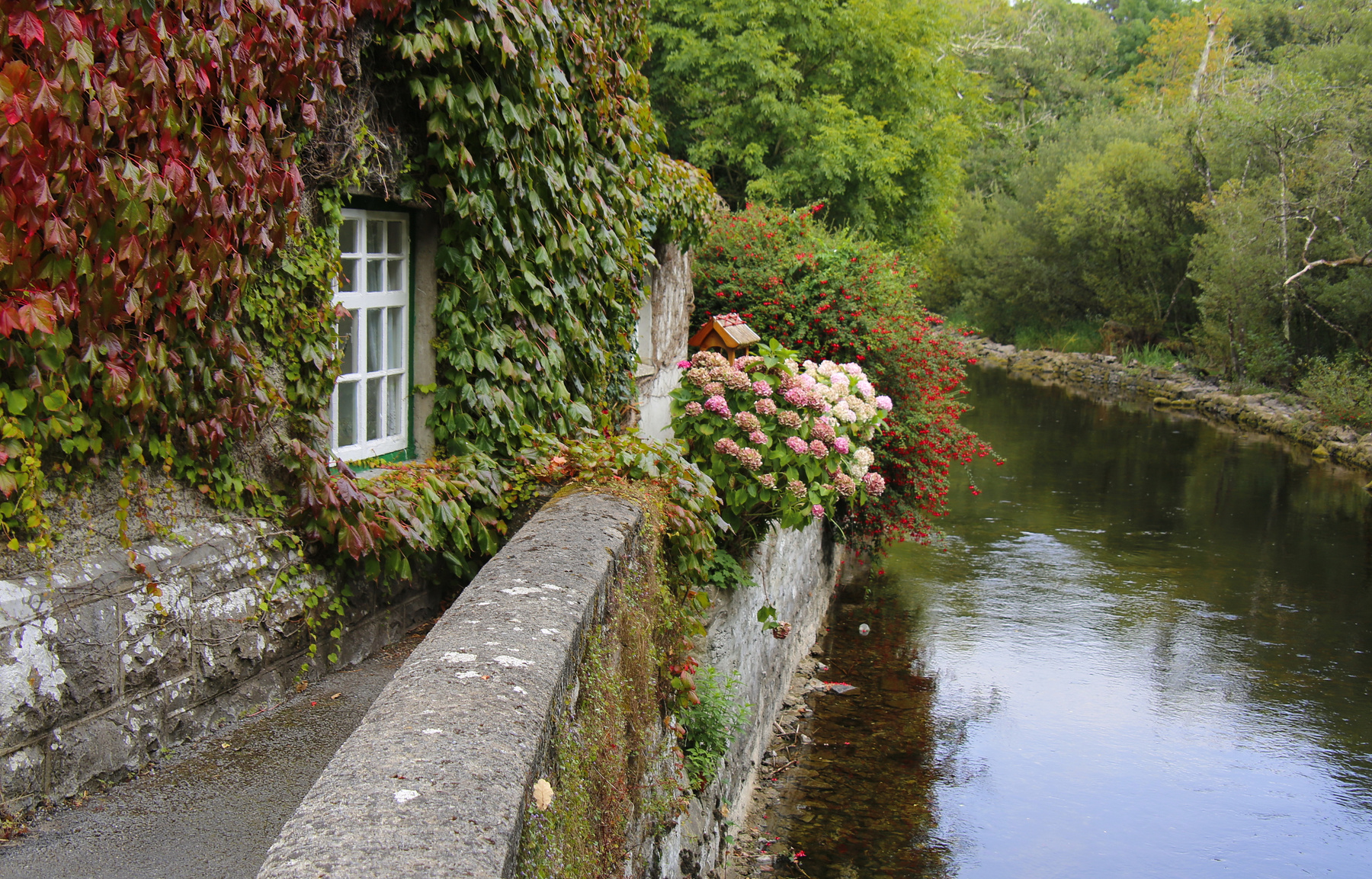***  ...просто  домик у воды... дом осень цветение Ирландия уют