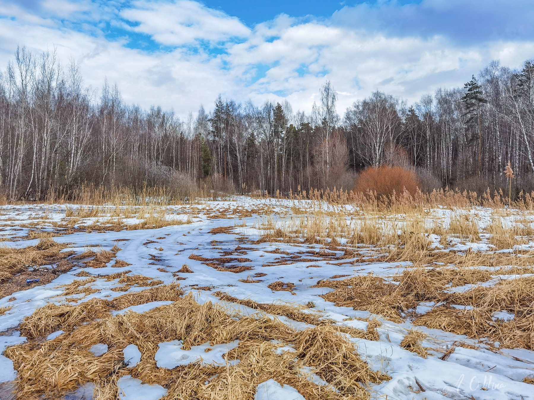 Апрельские зарисовки поле лес дорога снег лед трава березы сосны ели подталости
