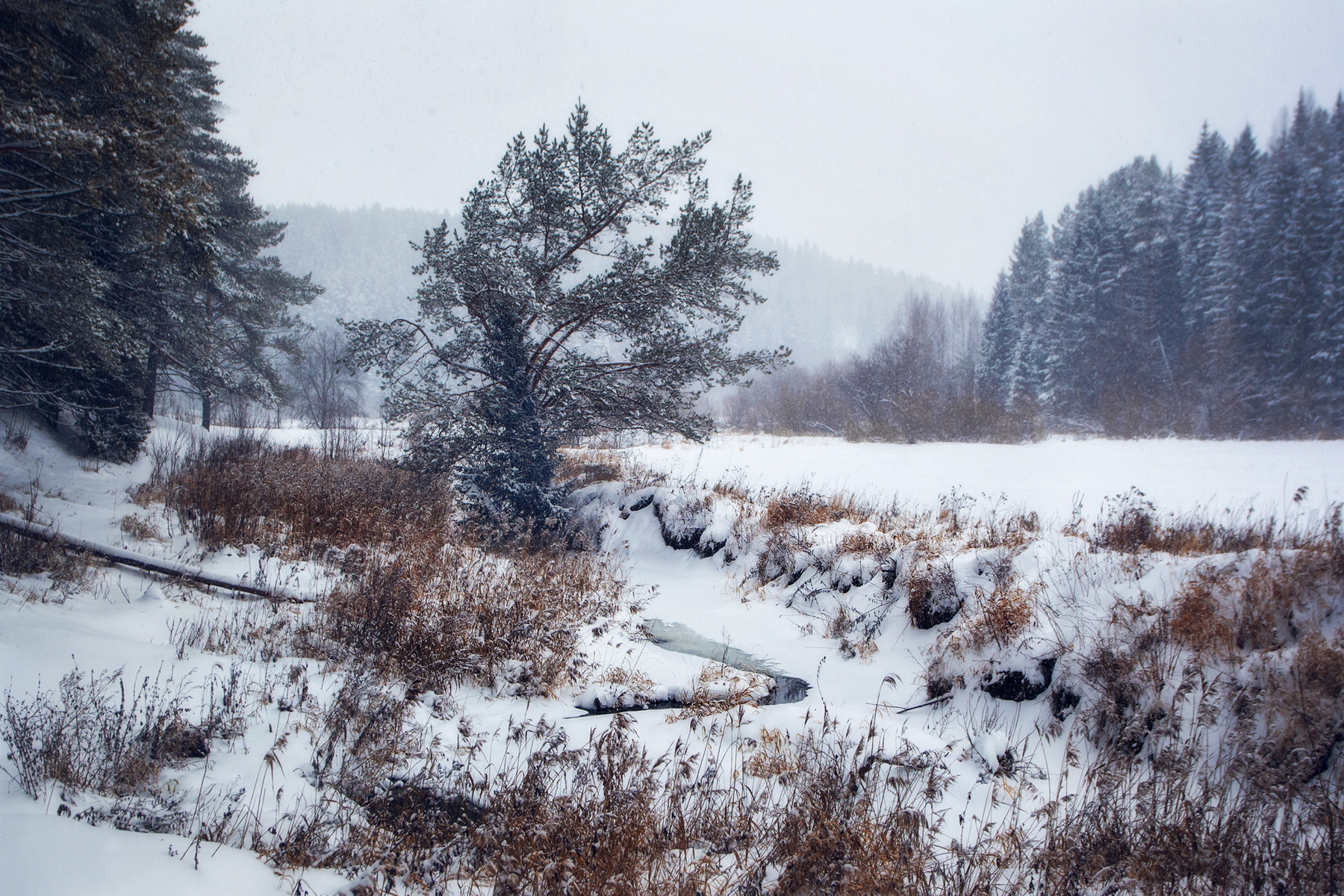 В Удмуртии зима Шаркан Удмуртия зима пейзаж природный парк шаркан природа удмуртии