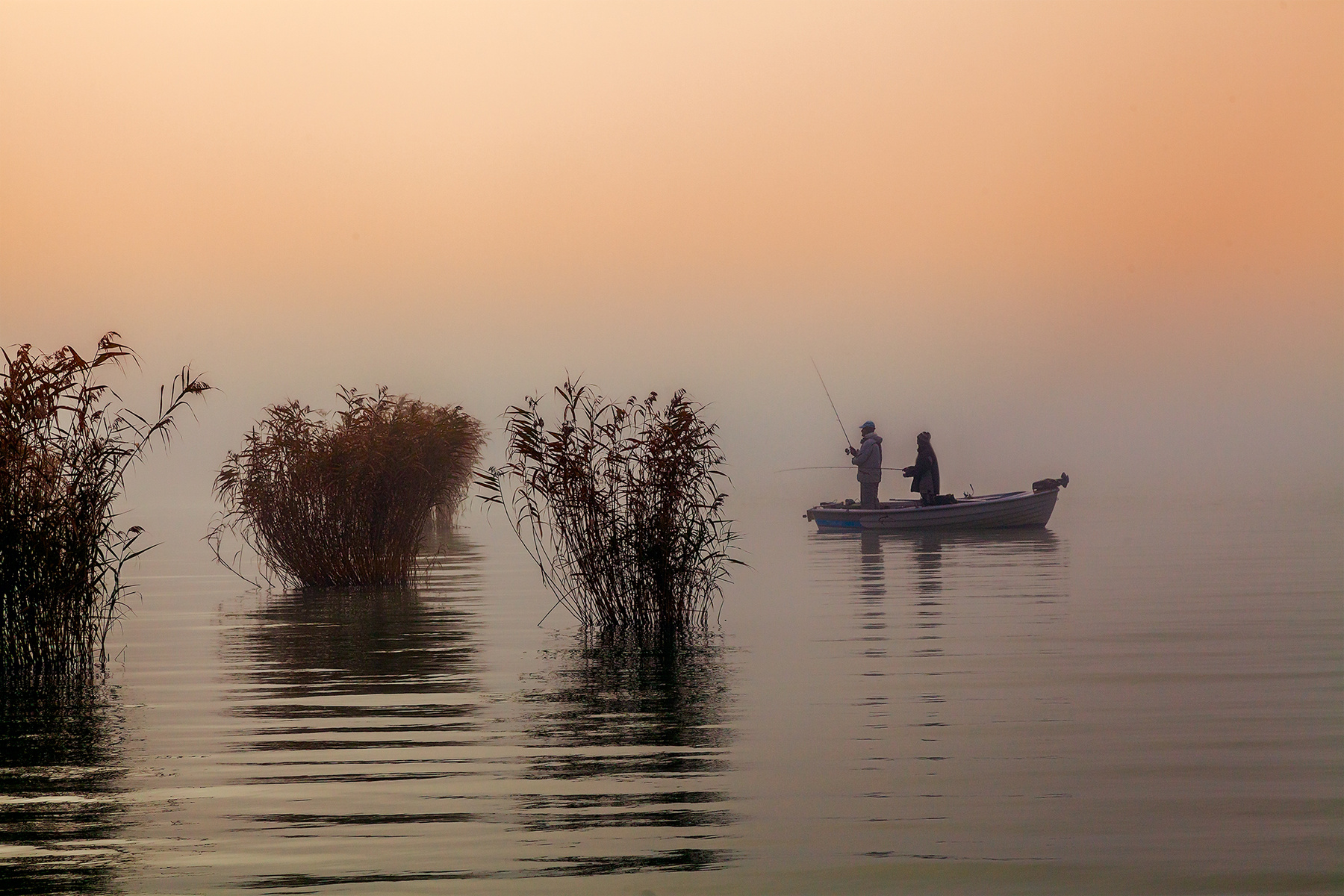 Рыбаки в тумане 