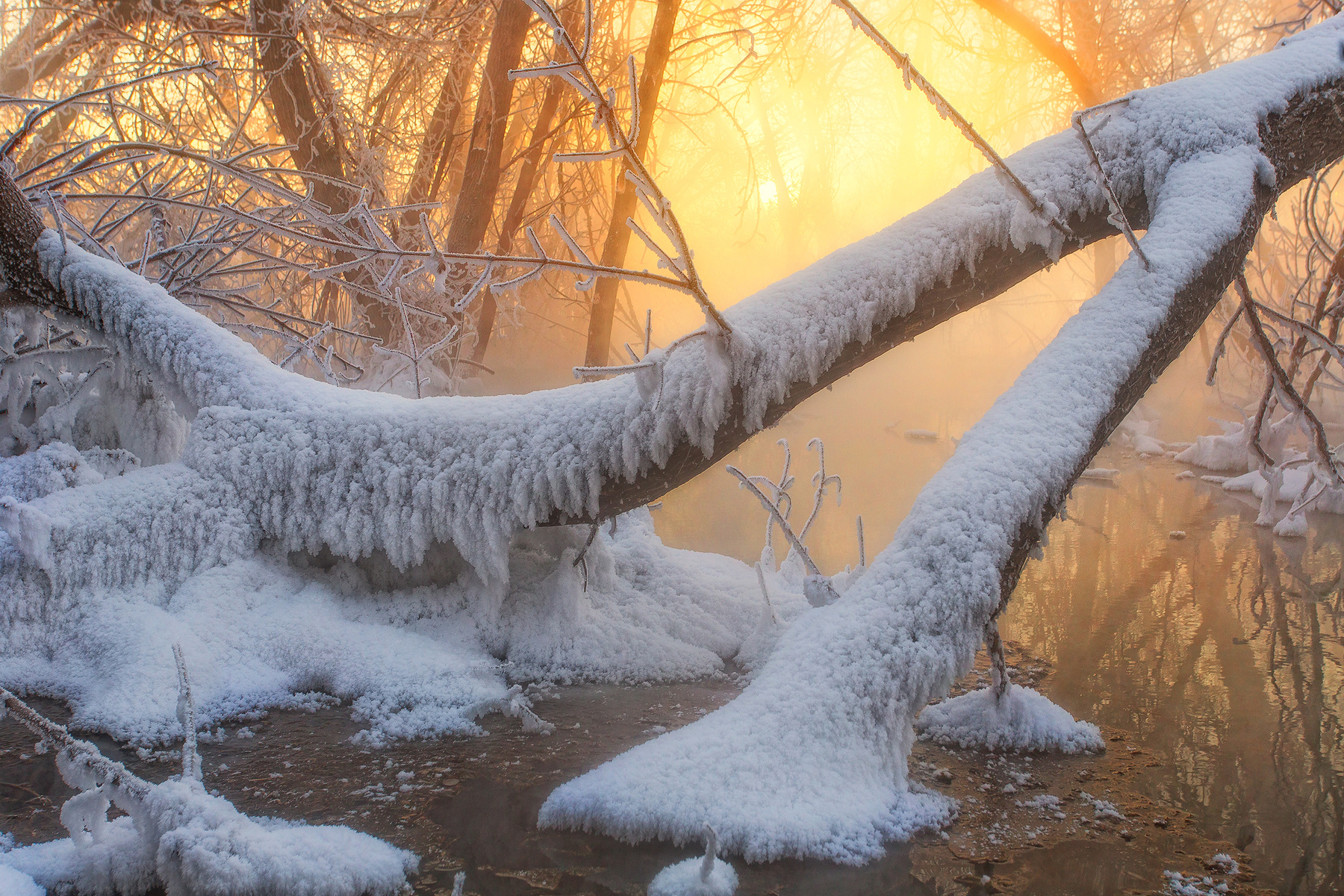 Холодное утро в тёплых тонах Орск Россия пейзажи утро зима