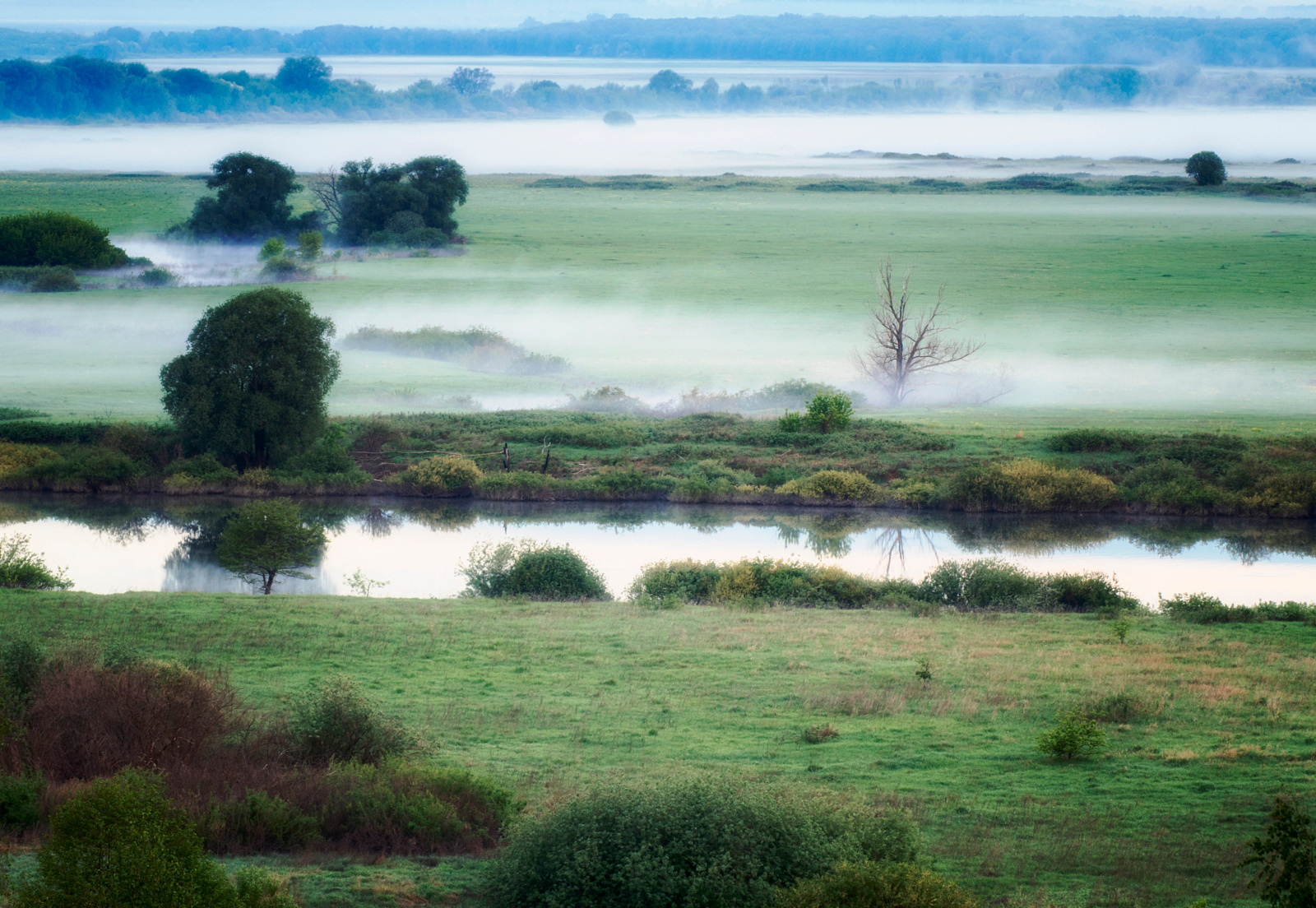 На слиянии двух рек. реки туман утро