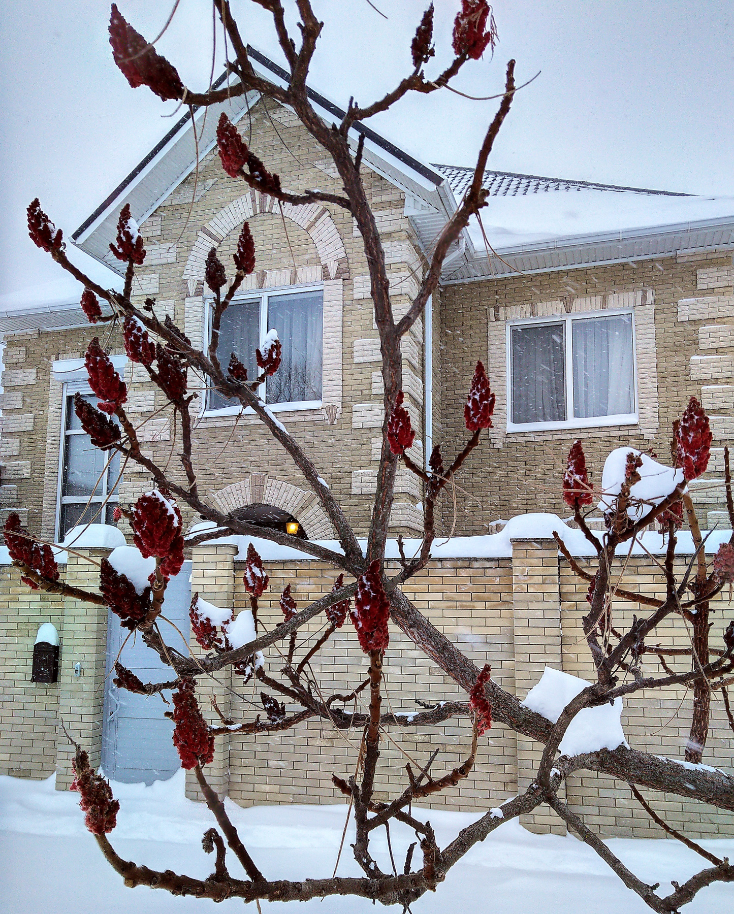 Яркий акцент холодной зимой фотография дневник настроение юмор ирония природа пейзаж зима снег дом сумах