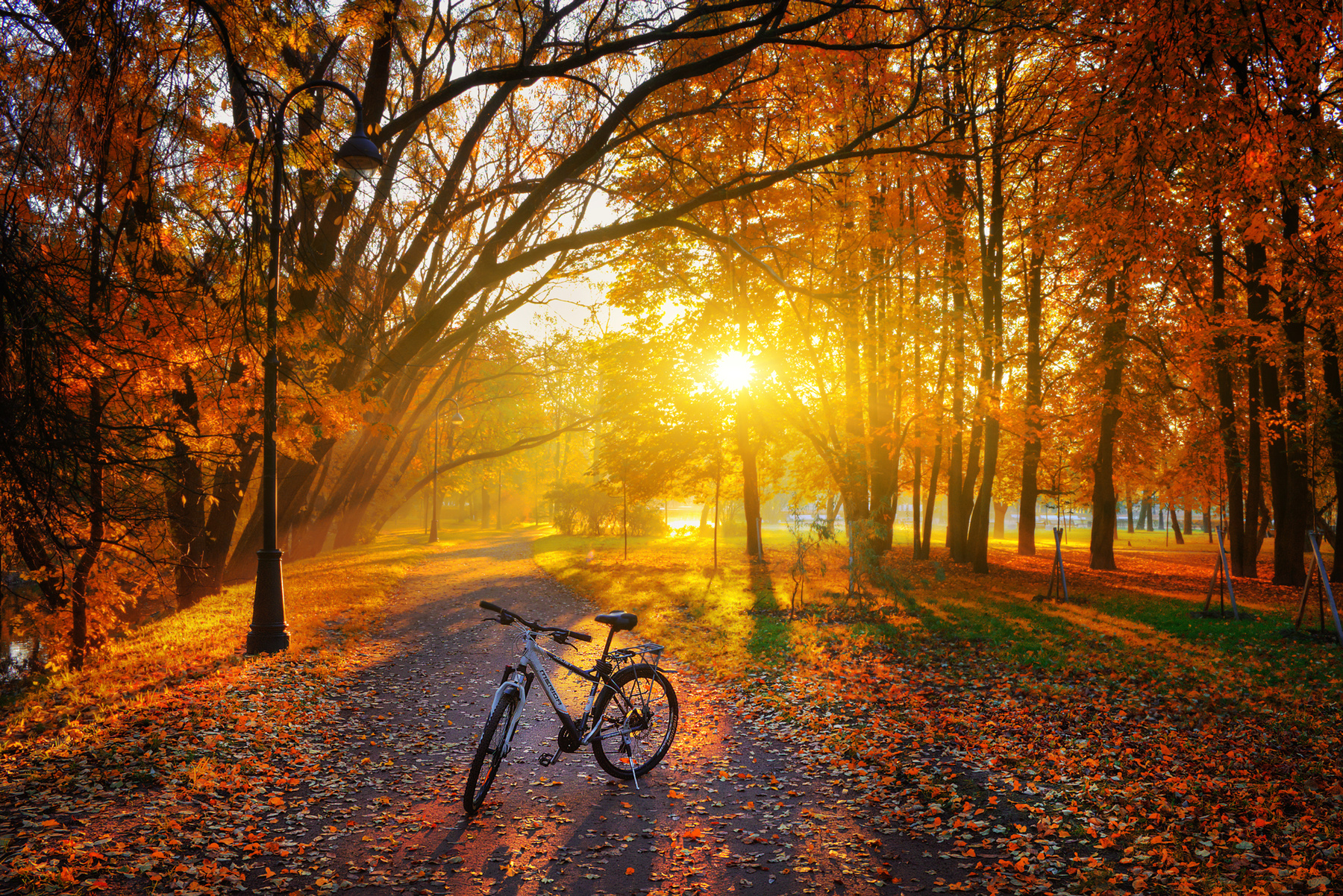 ПРОЩАЙ, ОСЕНЬ! осень парк Санкт-Петербург Парк Победы велосипед рассвет