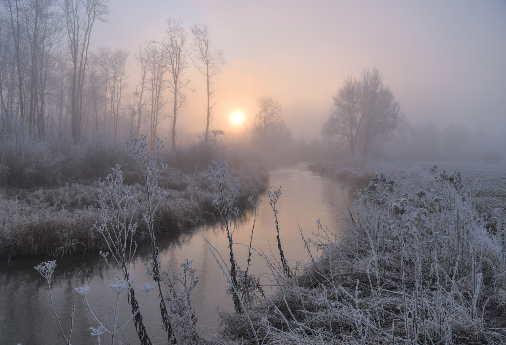 Второе утро нового года утро туман ручей солнце