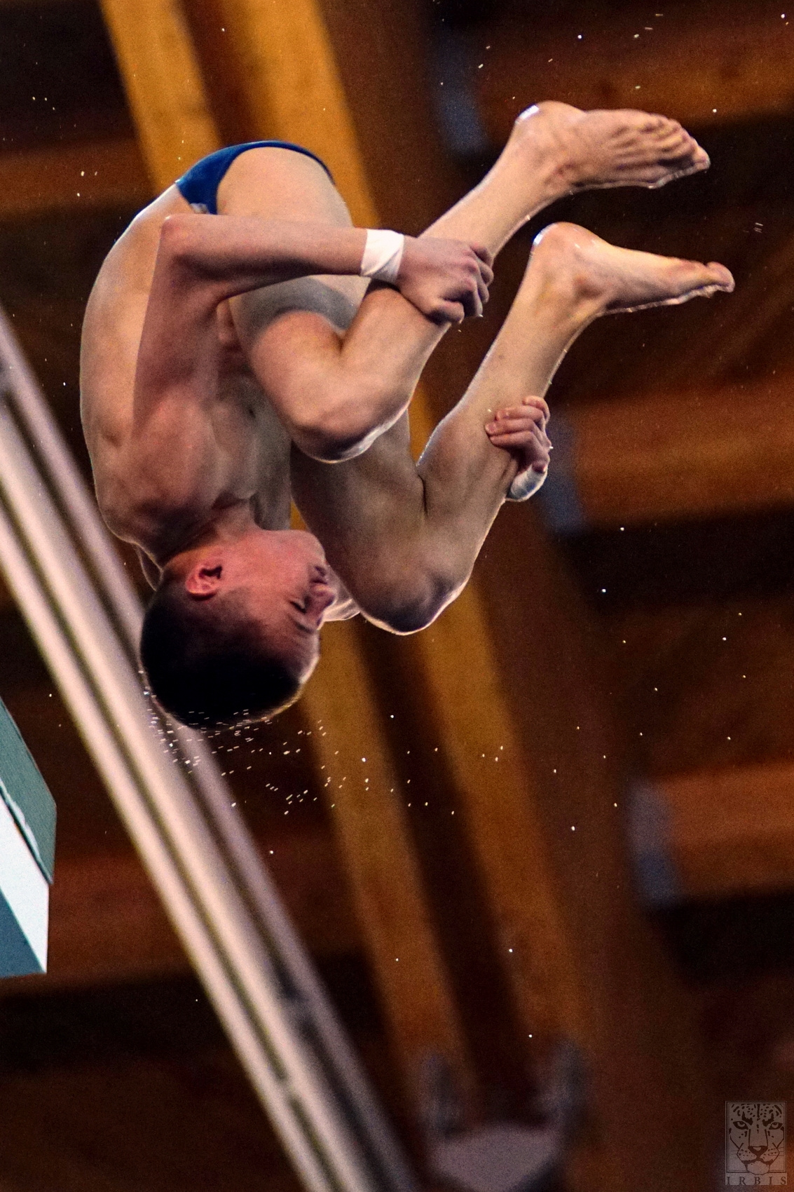 Юный победитель спорт спортсмен прыжки в воду Терновой