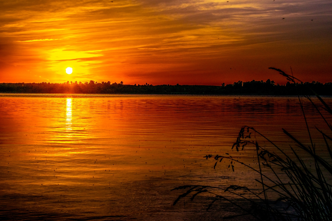 Закат на озере Озеро Вечер Солнце Закат