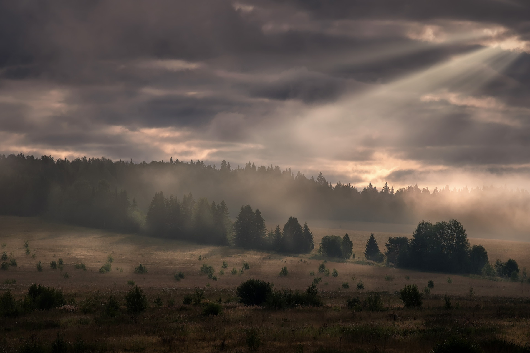 Уральское утро пейзаж перемское пермский край утро облачно луч солнце тайга лес елки поле