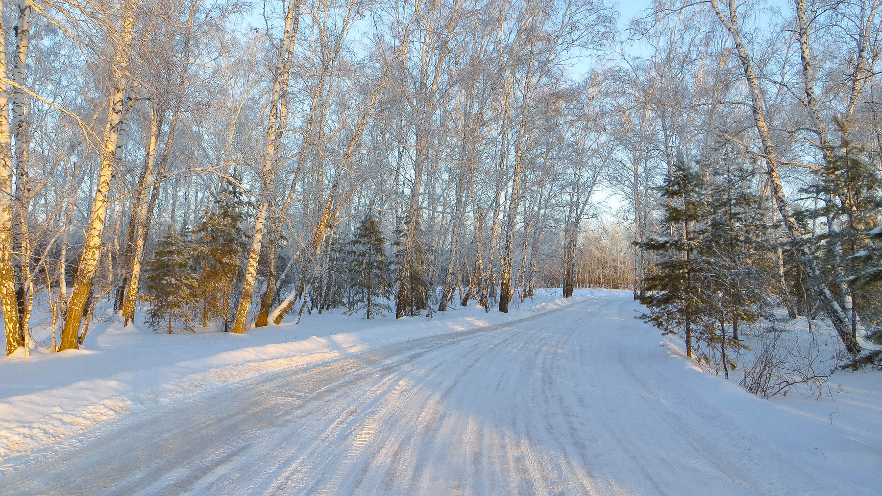 Дорога через зимний лес дорога зима иней лес березы