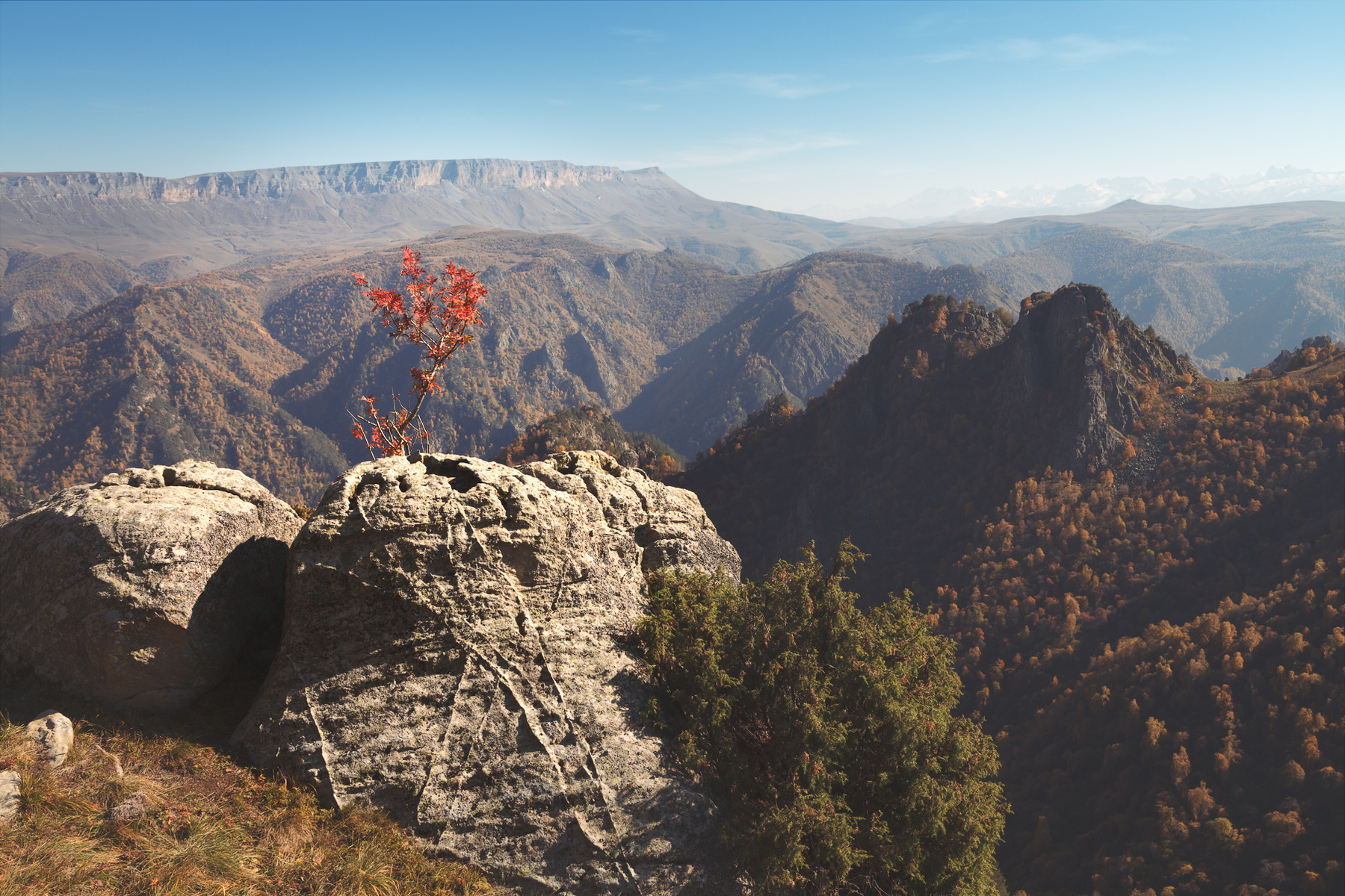 Приэльбрусье Приэльбрусье Кабардино-Балкария осень Кавказ горы дерево