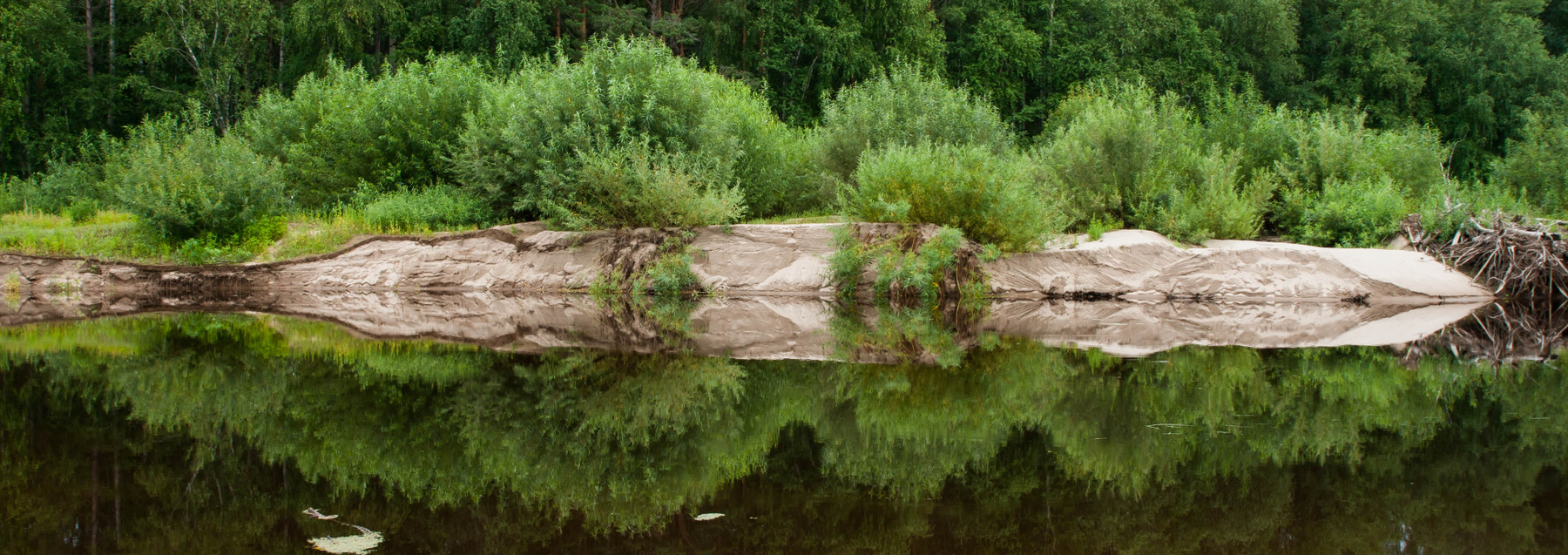Отражение природы Отражение вода природа пейзаж река деревья лето