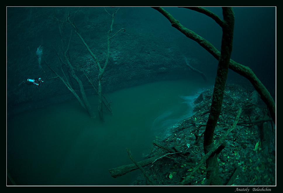 Скажи НЕТ наркотикам!  ;)))))    28м. метров под водой.... Angelita Мексика Ангелита