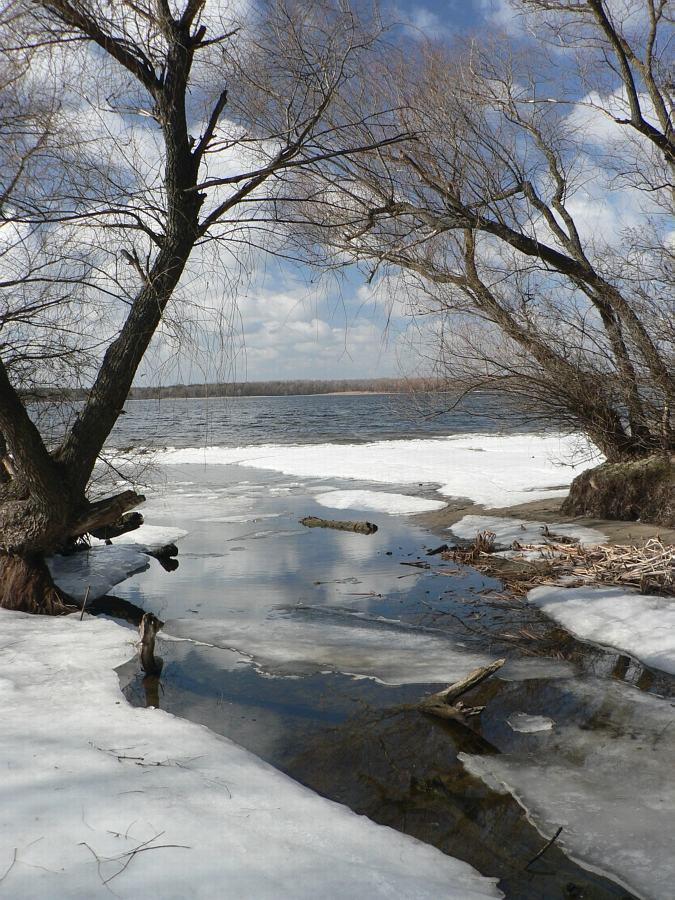 Скоро весна Вода, снег, лед, зима, почти весна, Днепр