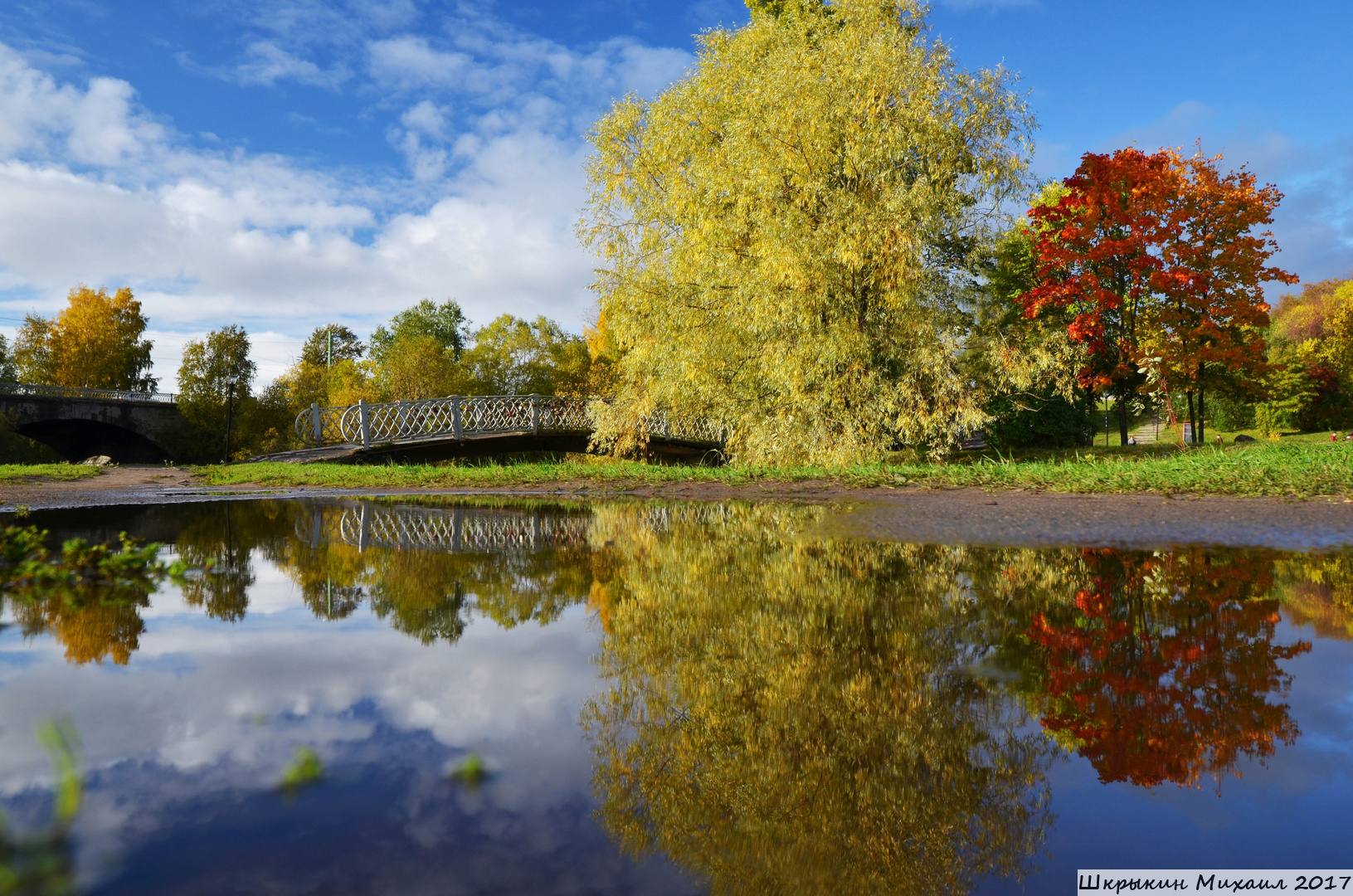 *** Карелия Россия город парк Петрозаводск деревья небо облака отражение осень октябрь
