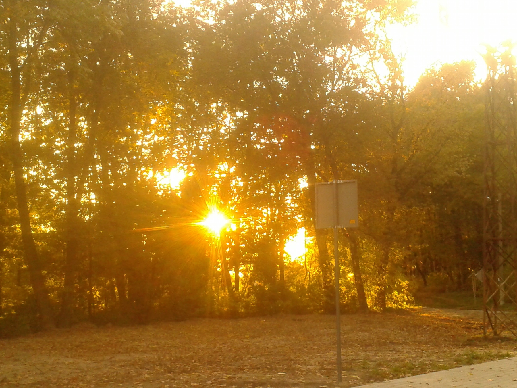 *** солнце закат парк дорога