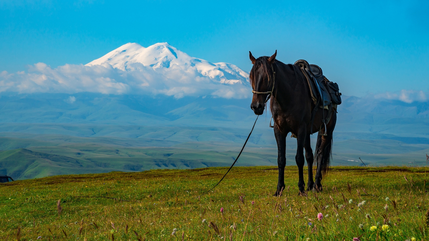 Бермамыт Mountains Russia nature Ossetia landscape clouds Caucase Горы Пейзаж животные Природа лошади лошадь horse Эльбрус