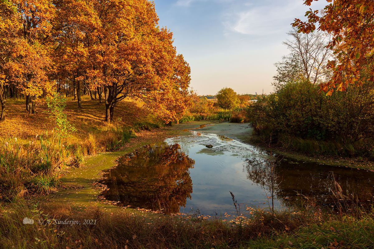 Осенняя картина осенний пейзаж озеро