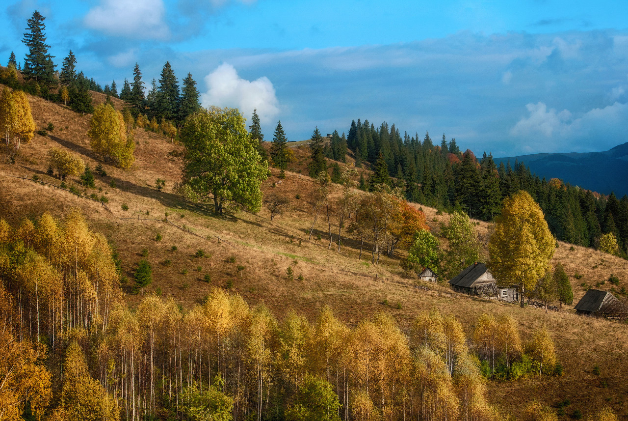 *Осенью* горы осень луга домики Дземброня Верховина Карпаты