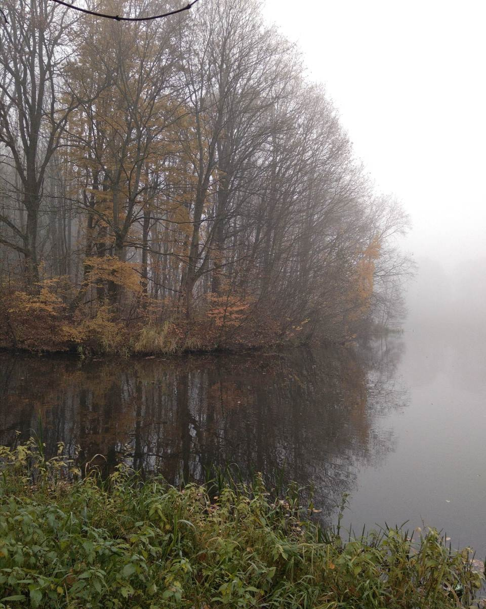 Осень Осень туман вода водоем река озеро