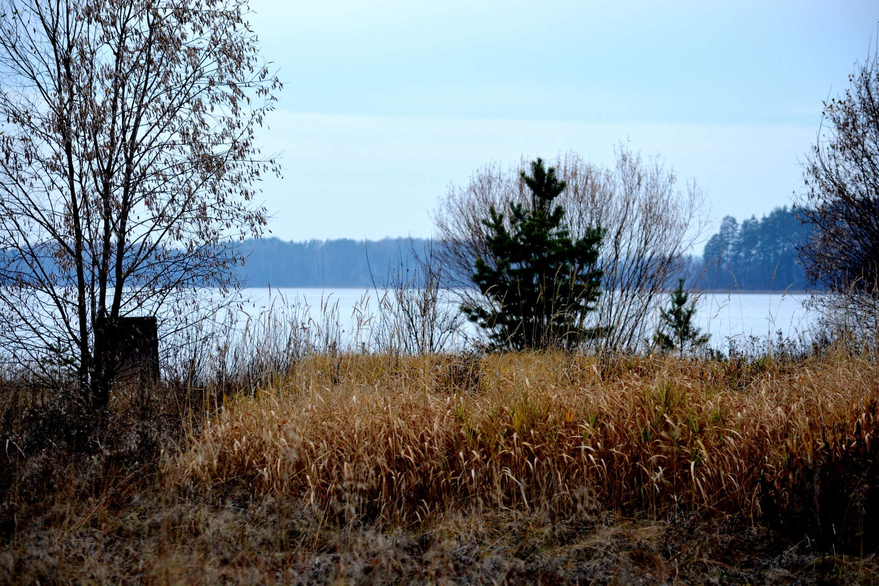 осень на берегу озера 