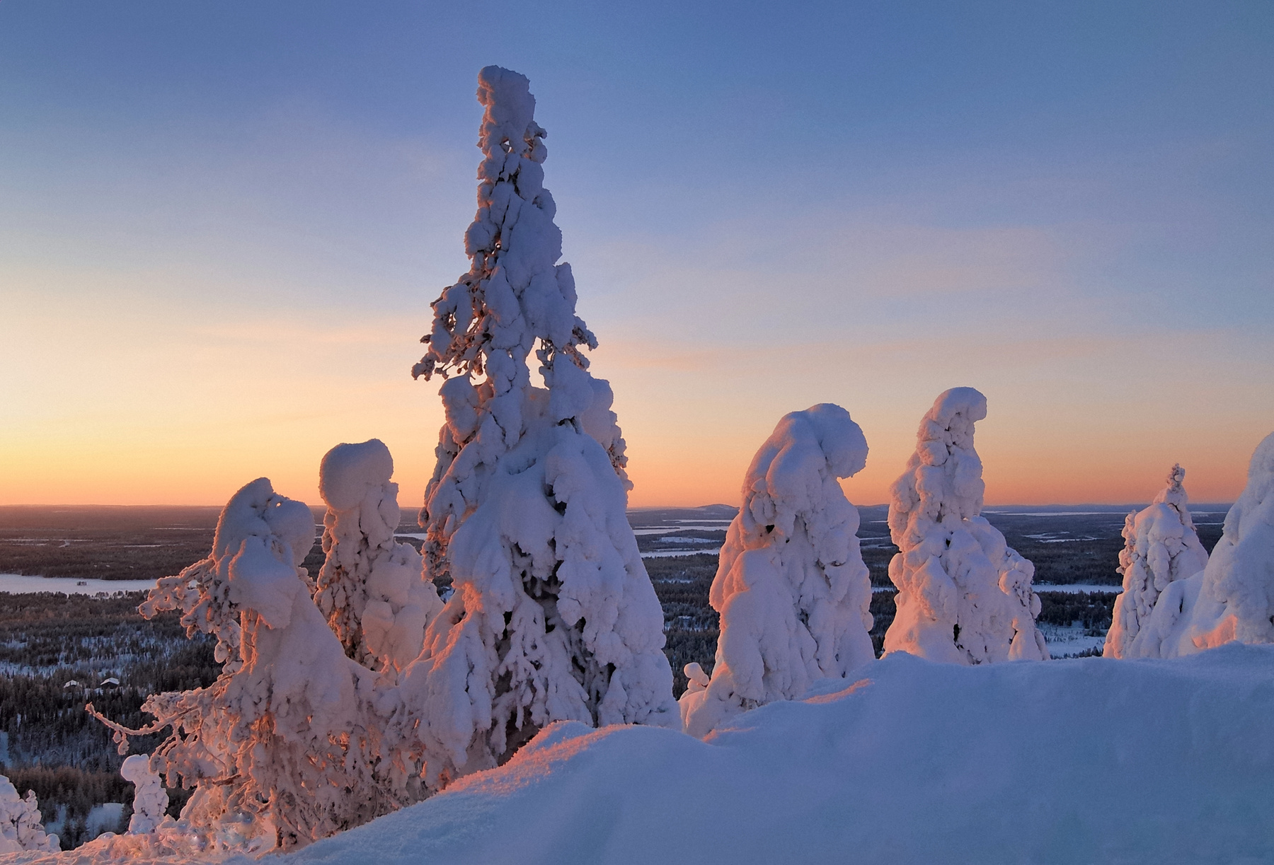 “Пилигримы" закат в 14-00 заиндевелые елки Рука Приполярье Финская_Лапландия Arctic Circle Area Ruka Lapland Finland