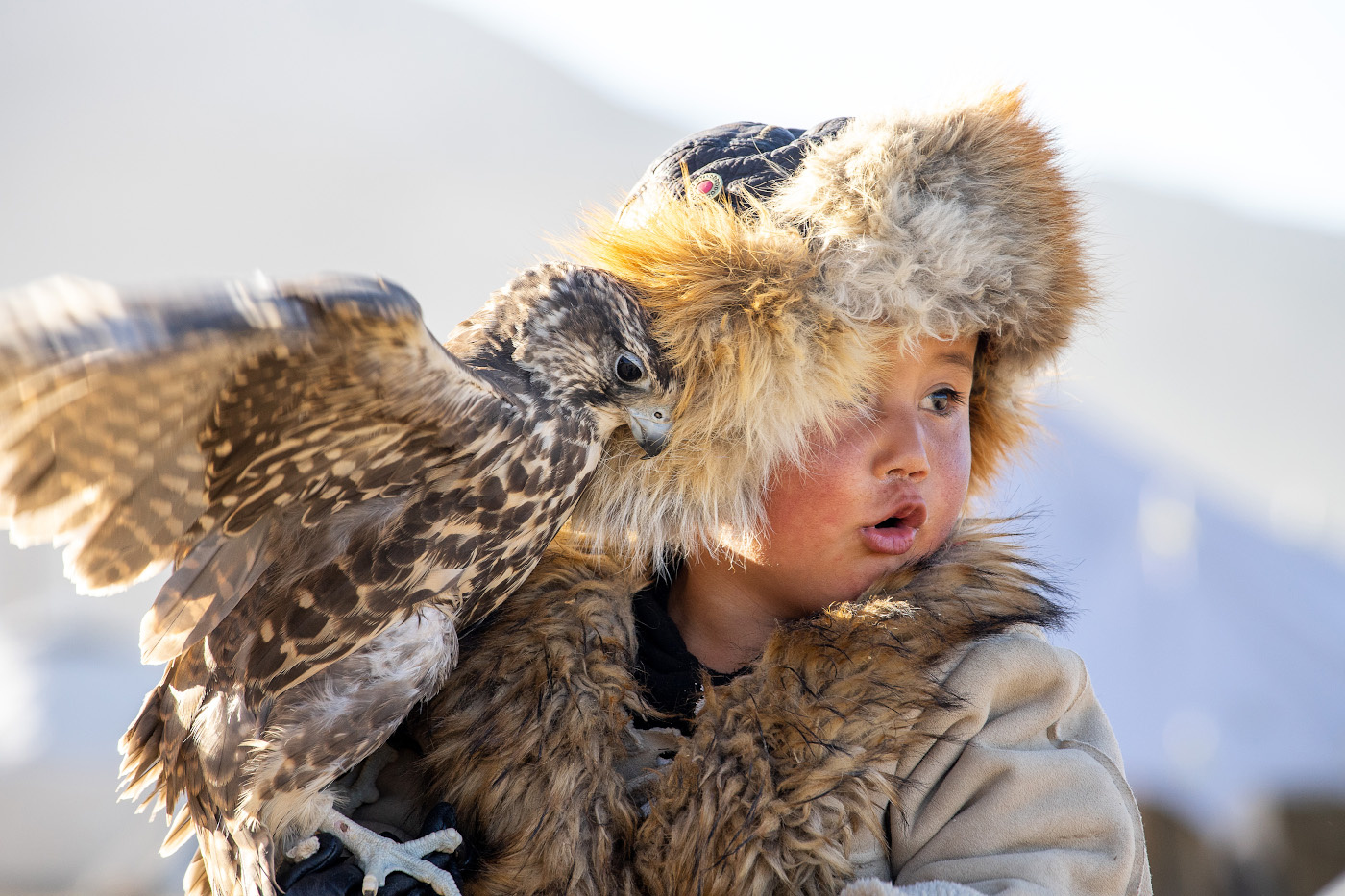 Юные охотники монголия беркутчи фестиваль охотник сокол беркут ребенок улгий mongolia ulgii olgii eagle child mongolian