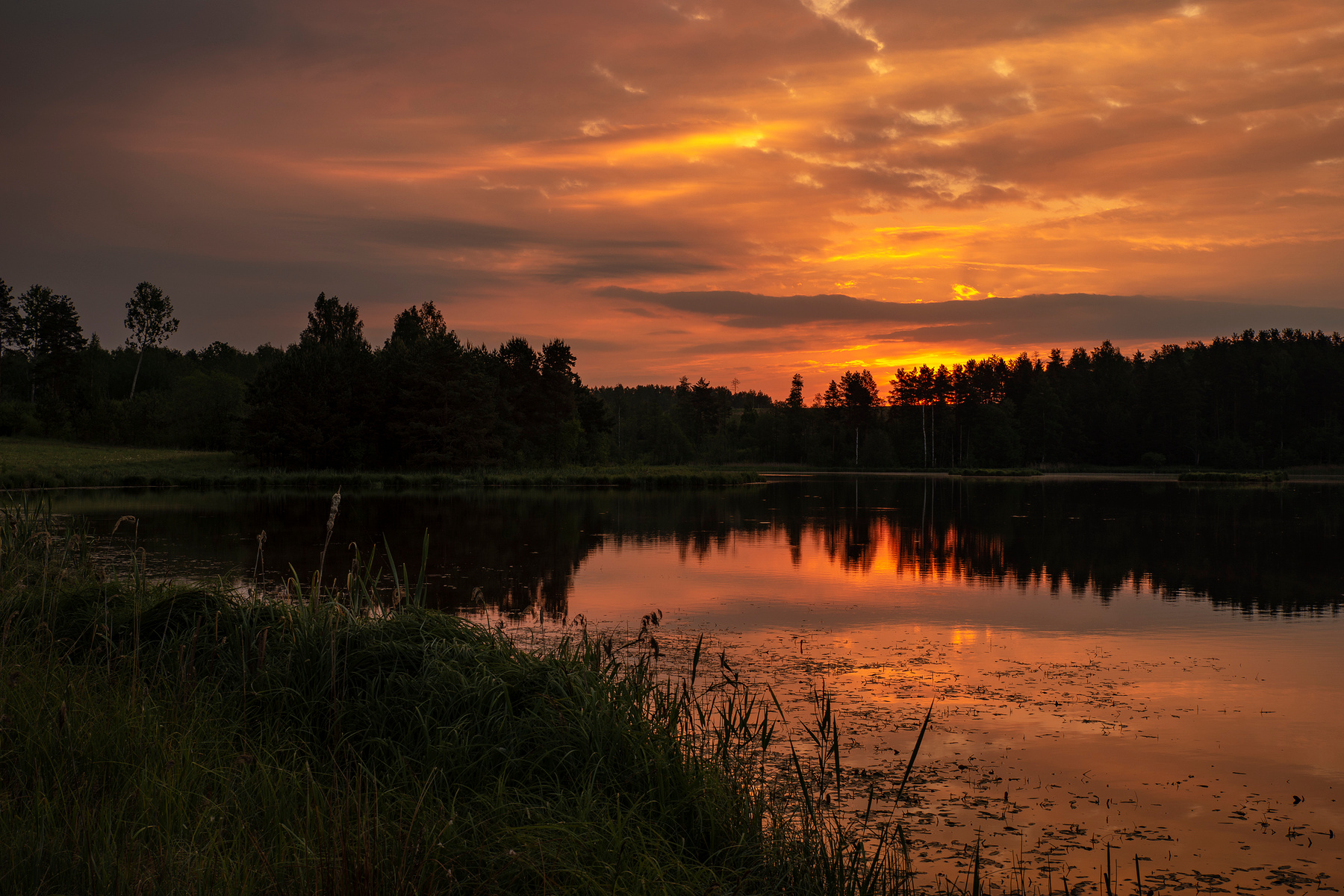 *** Утро болото озеро трава роса восход закат небо облака деревья капли цвета солнце солнечный свет
