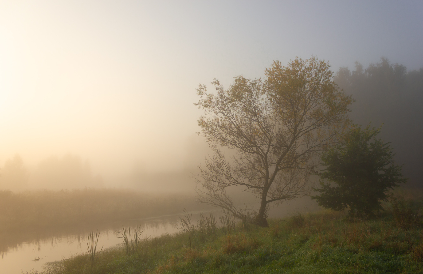 Туман на реке туман утро река рассвет